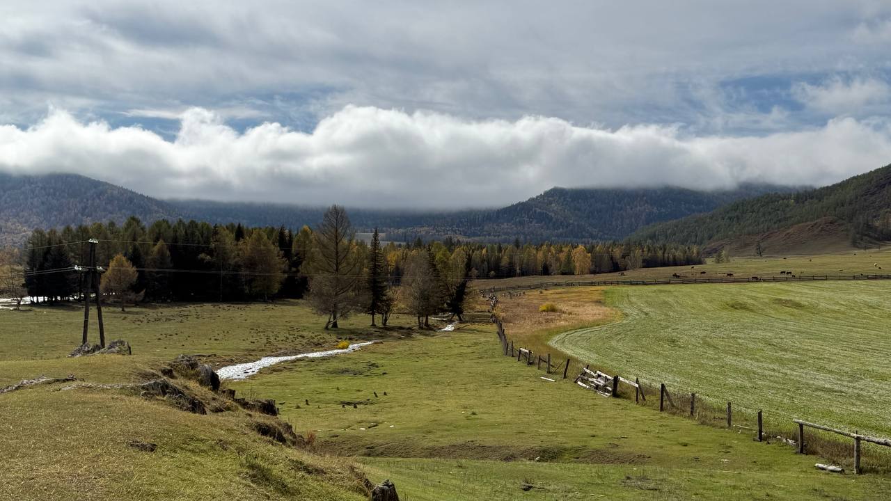 Сокровища Чулышмана. Пять дней на Алтае! (12/35)