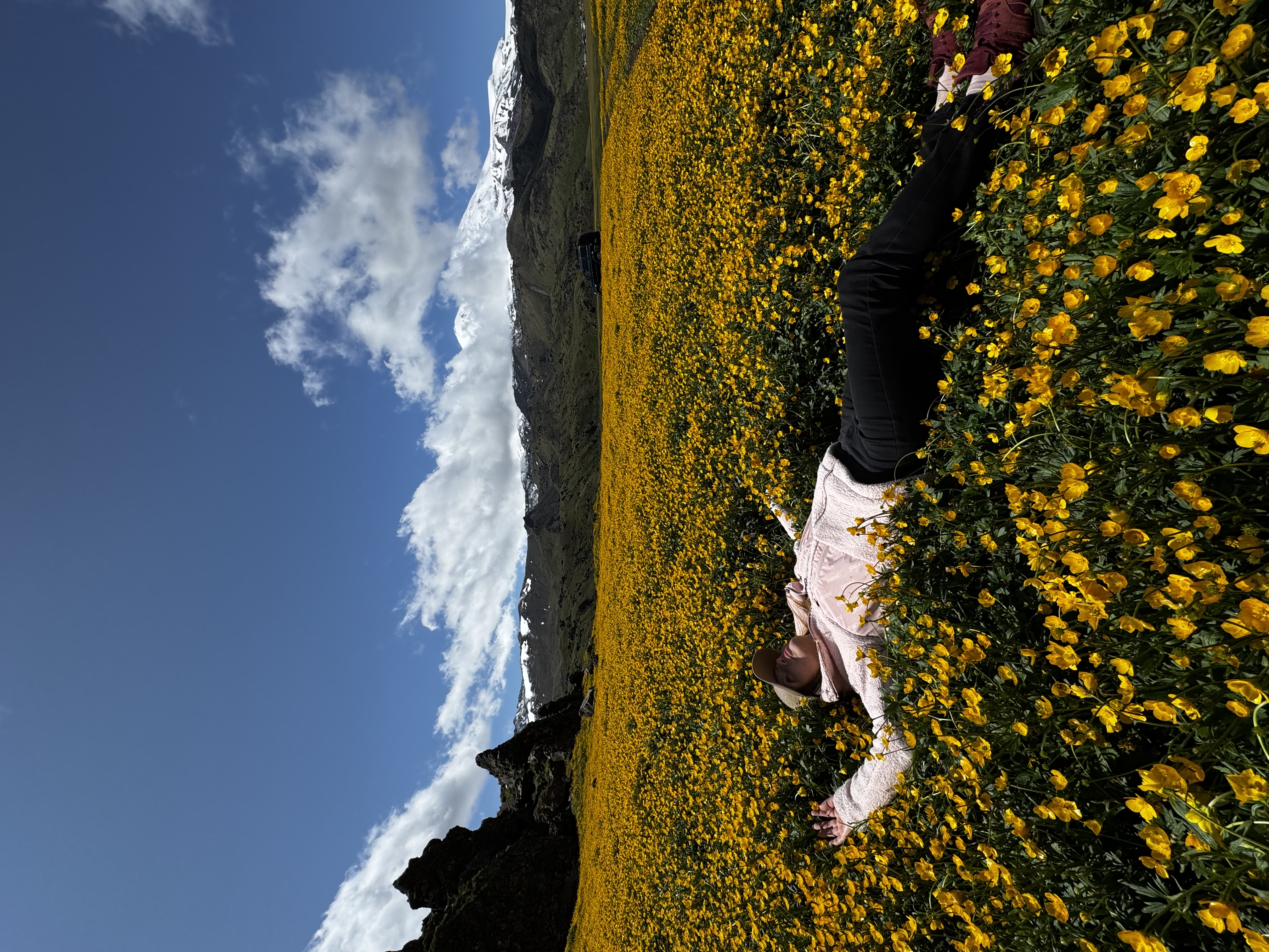 Экскурсия на джипе в Джилысу: красота Кавказа в одном маршруте! (Индивидуальный тур) (12/16)