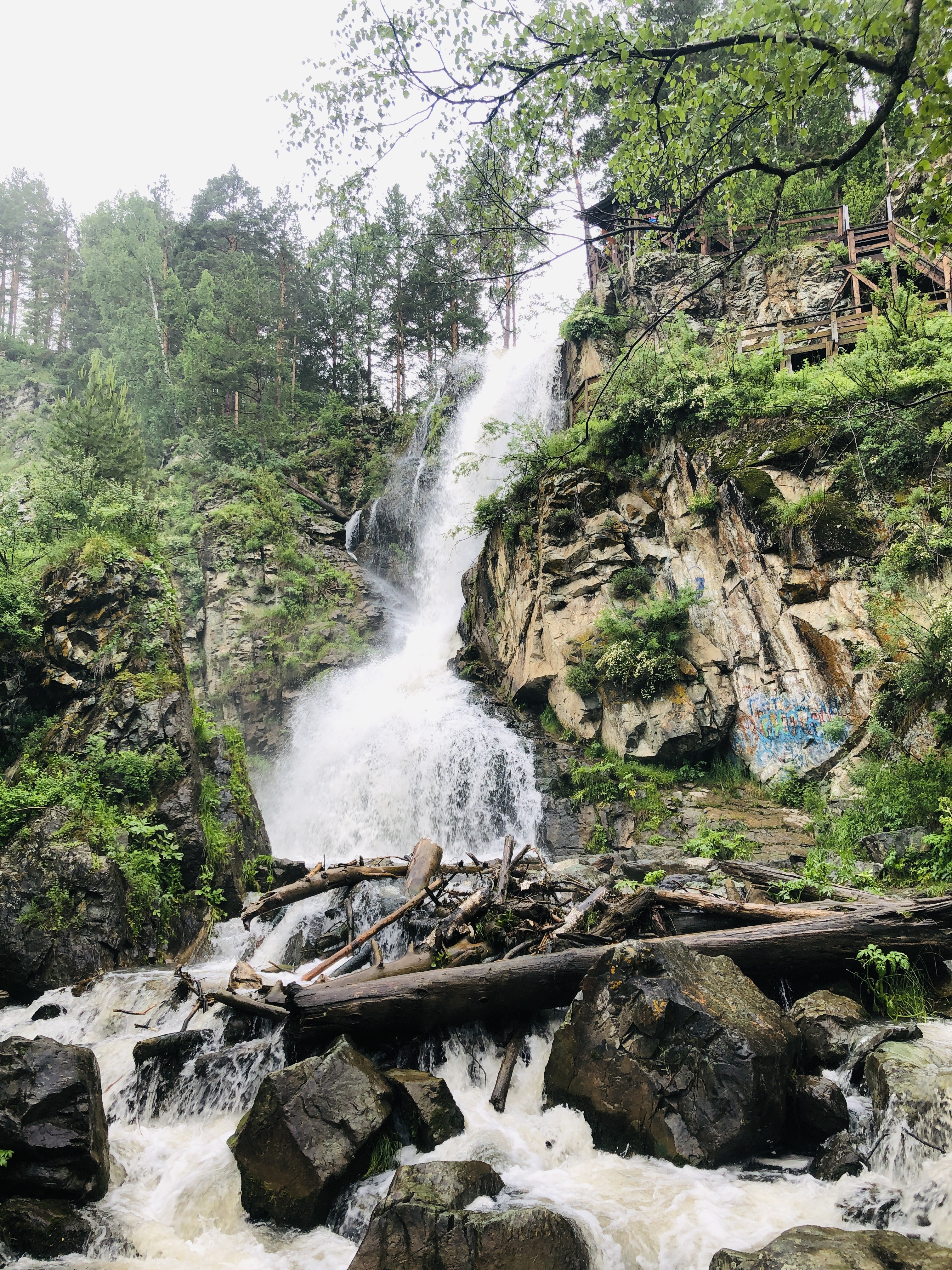 Сокровища Чулышмана. Пять дней на Алтае! (4/35)