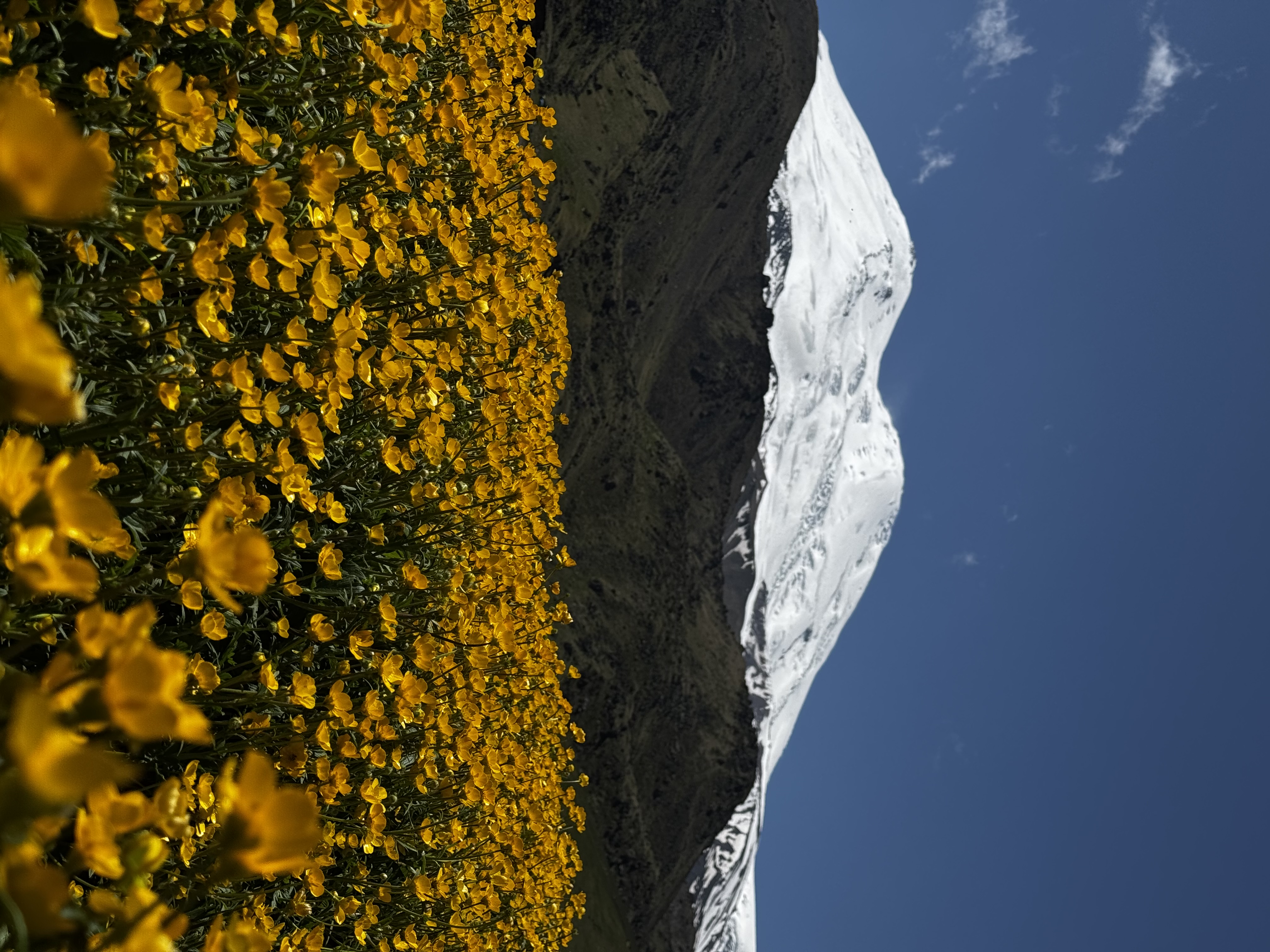 Экскурсия на джипе в Джилысу: красота Кавказа в одном маршруте! (Индивидуальный тур) (7/16)