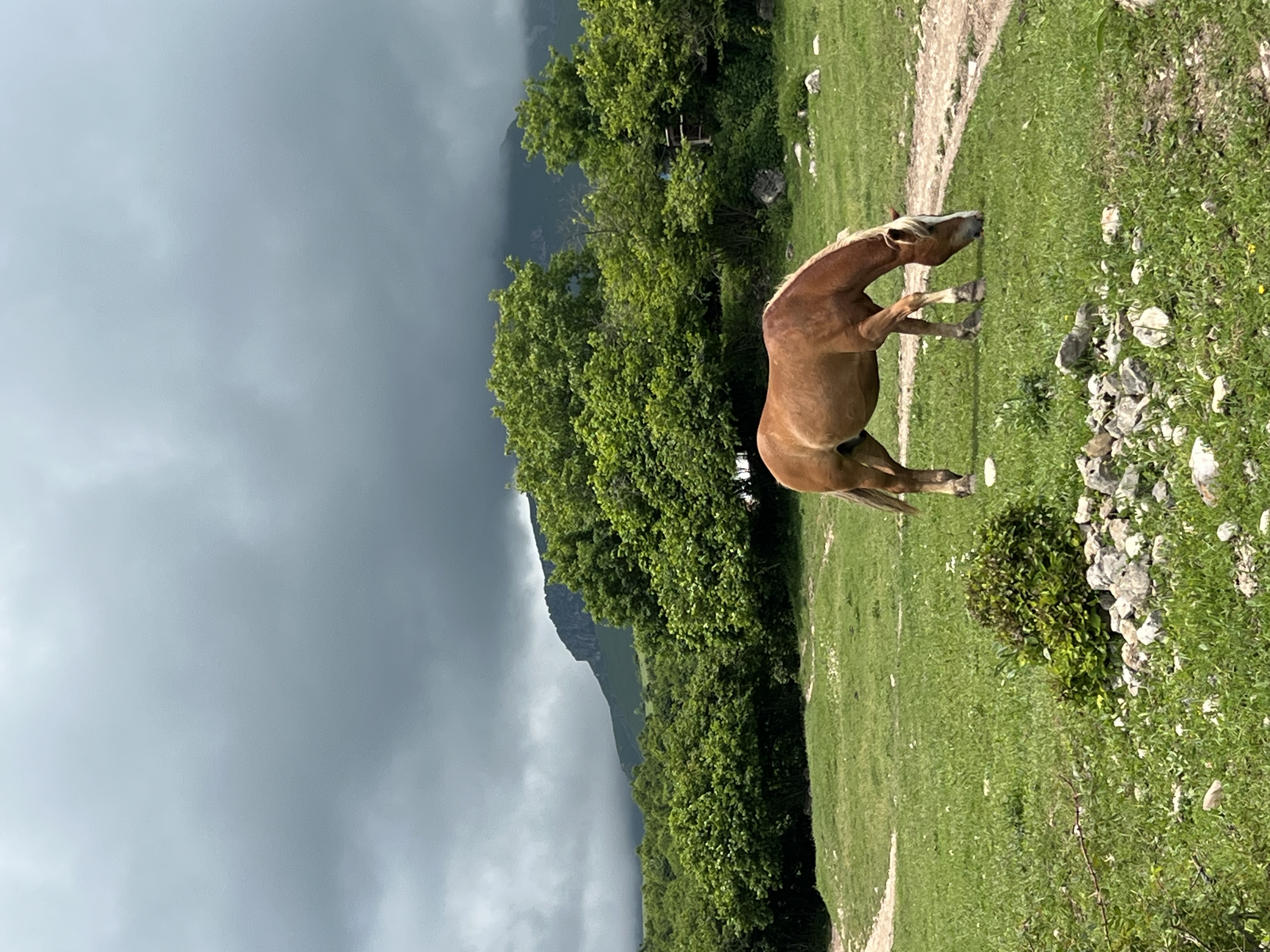 Армения - вкус страны за 4 дня (13/31)