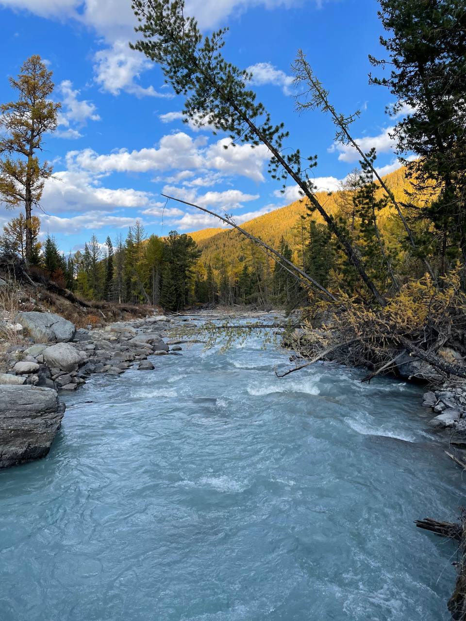 Сокровища Чулышмана. Пять дней на Алтае! (5/35)
