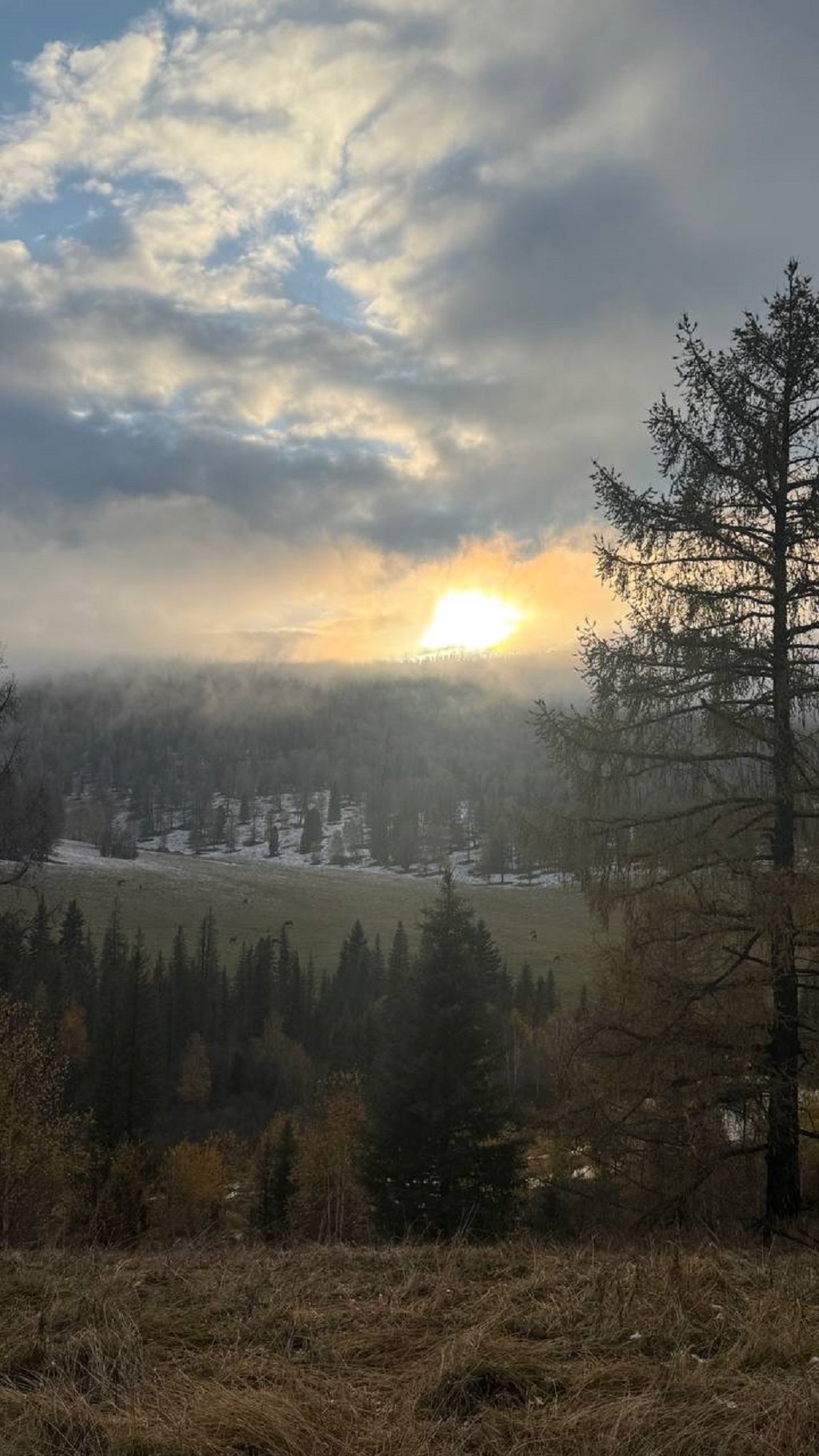 Сокровища Чулышмана. Пять дней на Алтае! (17/35)