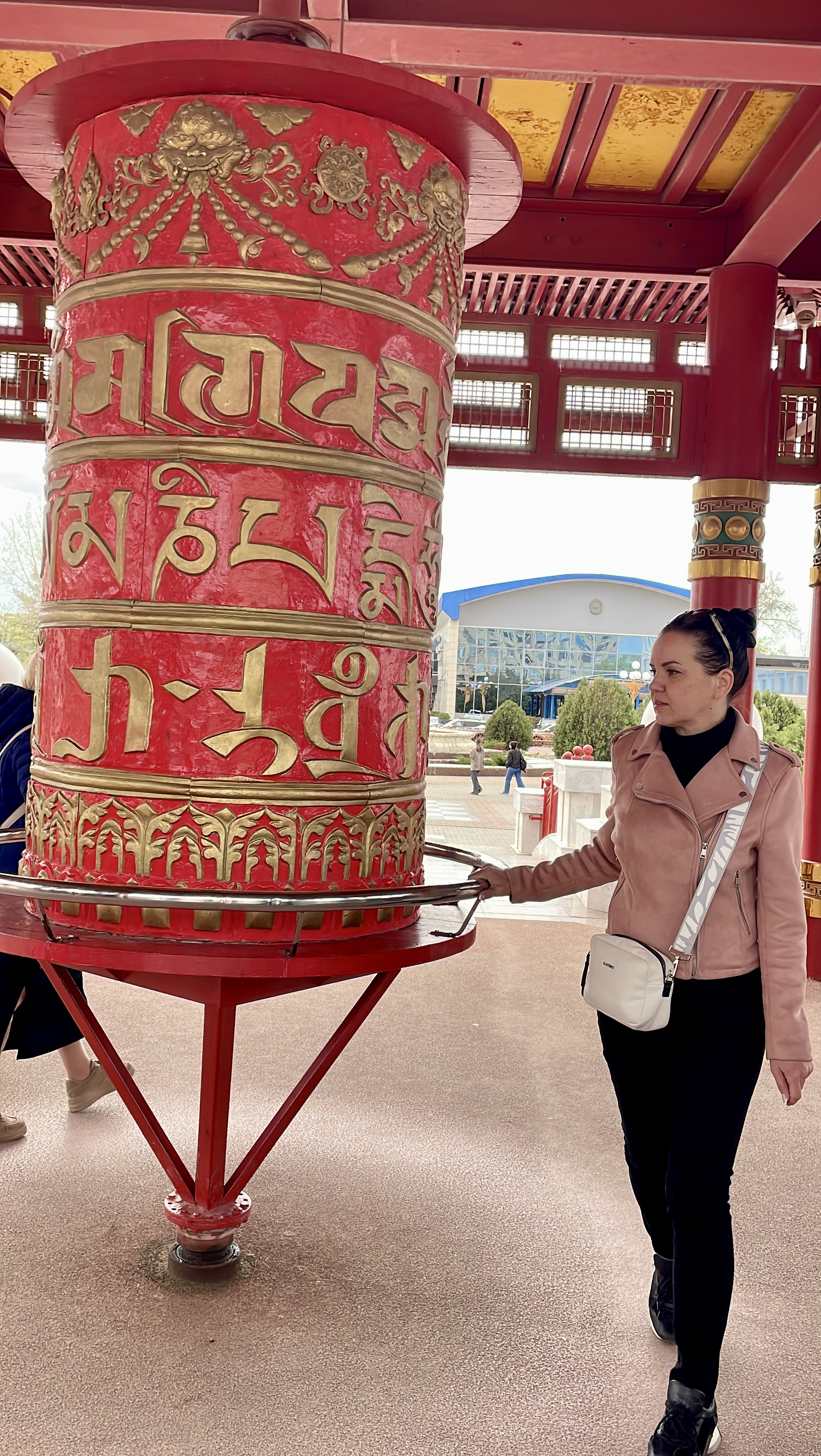 Калмыкия Фестиваль тюльпанов (8/9)