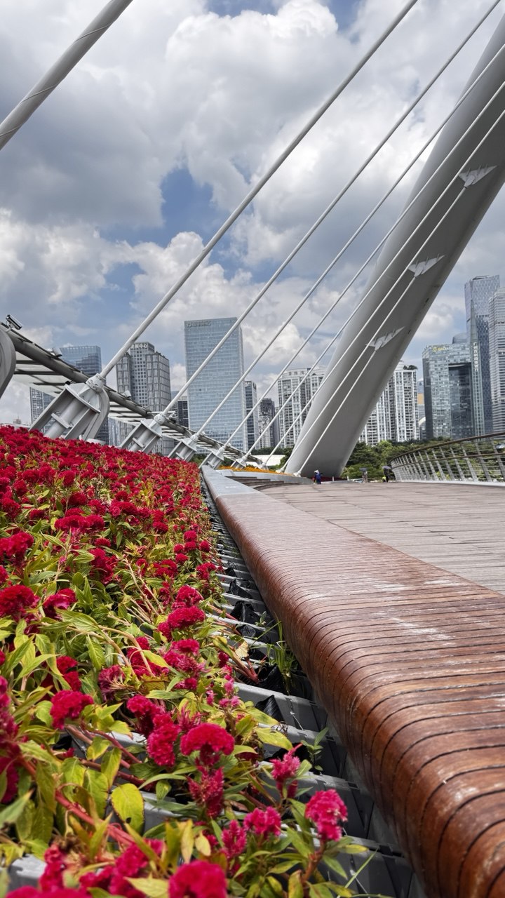 Прощаемся, но воспоминания остаются