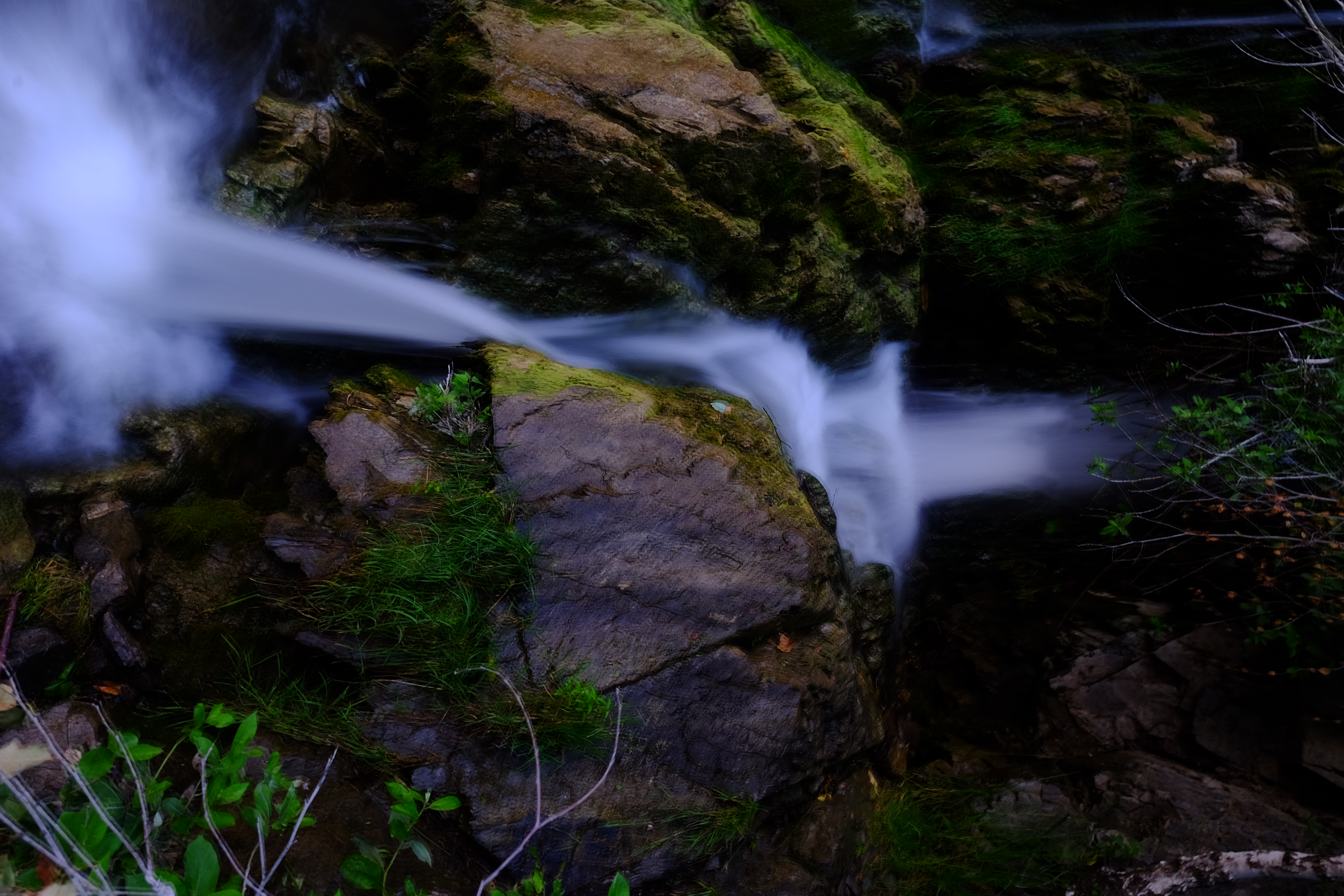 Сокровища Чулышмана. Пять дней на Алтае! (10/35)