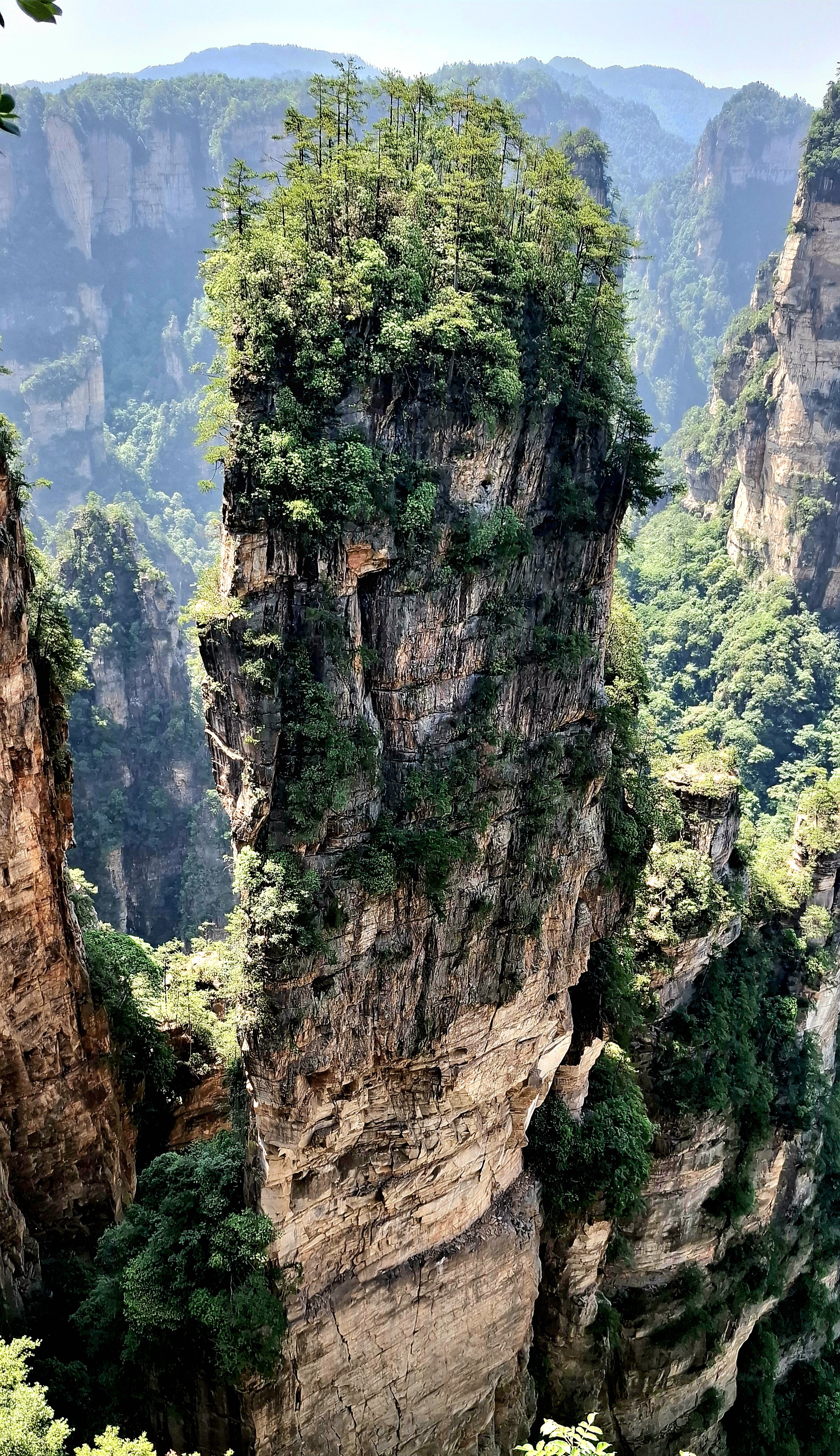 Долгожданная встреча с горами Аватара