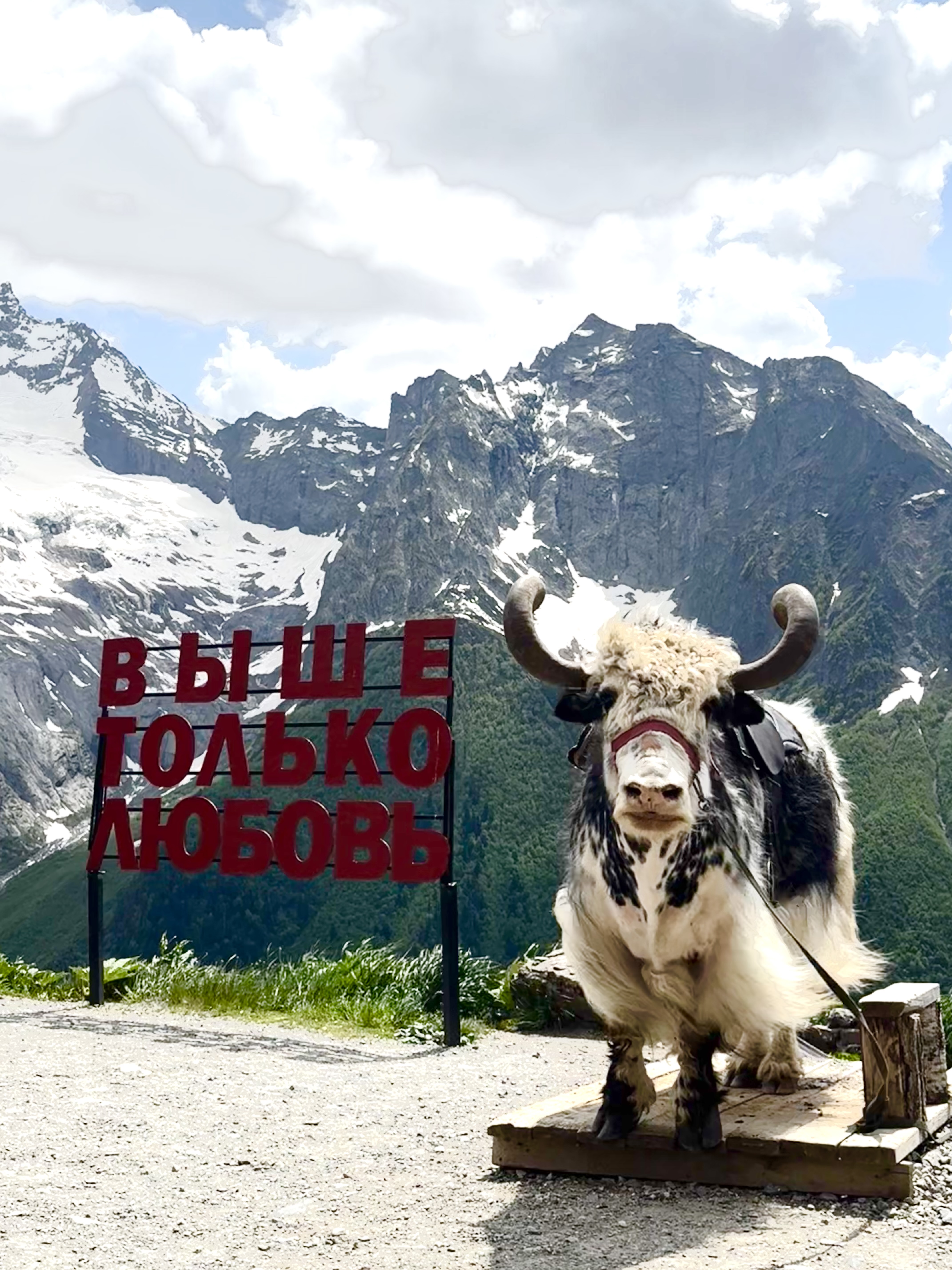 Индивидуальный тур - Это Швейцария, нет это Домбай!