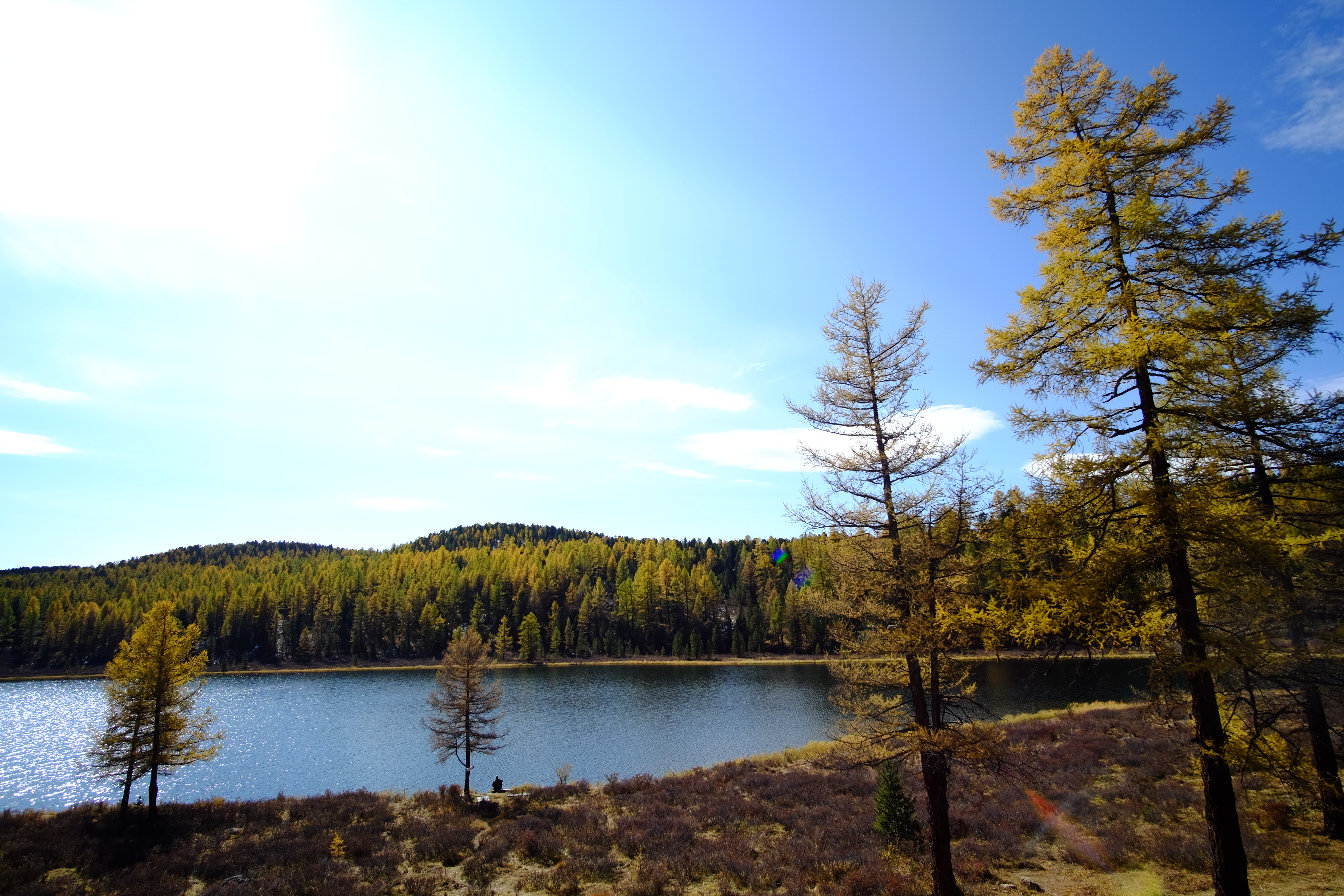 Сокровища Чулышмана. Пять дней на Алтае! (7/35)