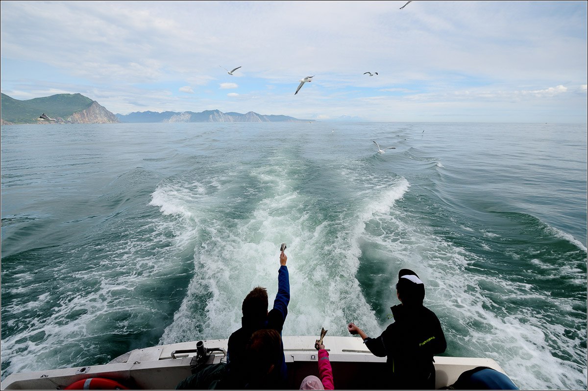 Морская прогулка бухта Русская