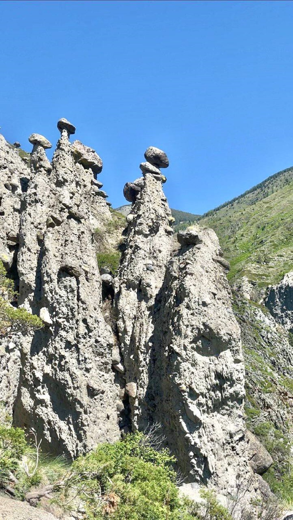 Сокровища Чулышмана. Пять дней на Алтае! (21/35)