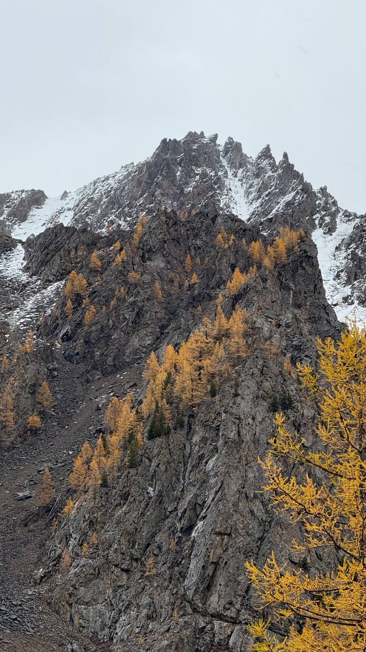 Сокровища Чулышмана. Пять дней на Алтае! (14/35)