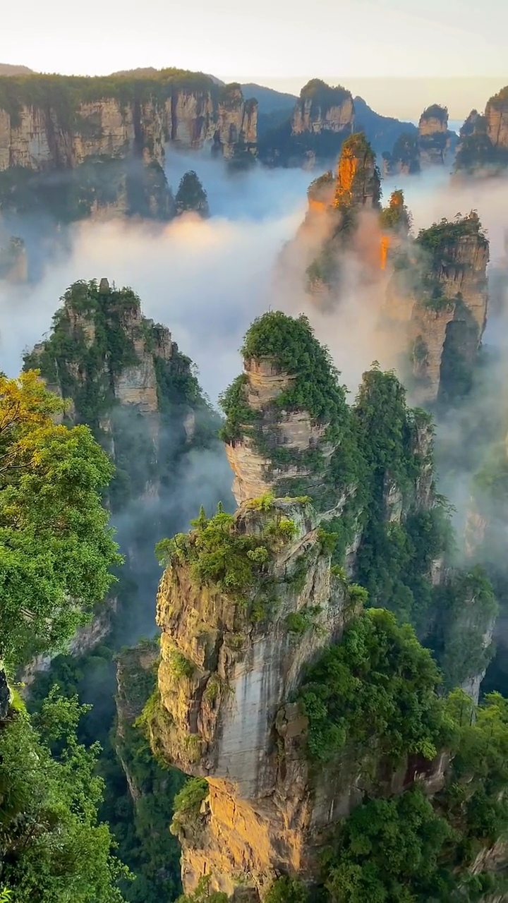 Долгожданная встреча с горами Аватара