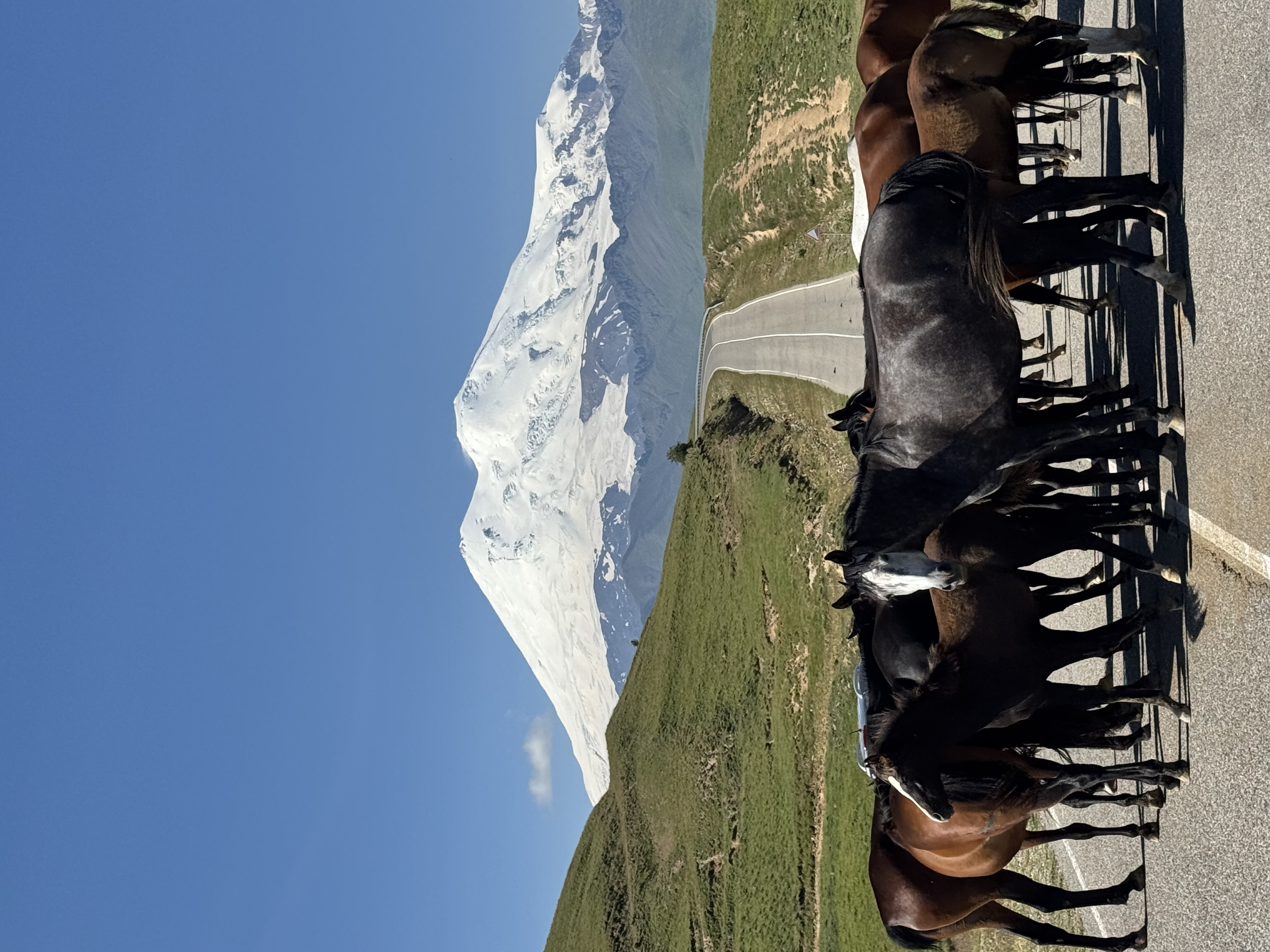 Экскурсия на джипе в Джилысу: красота Кавказа в одном маршруте! (Индивидуальный тур) (11/16)