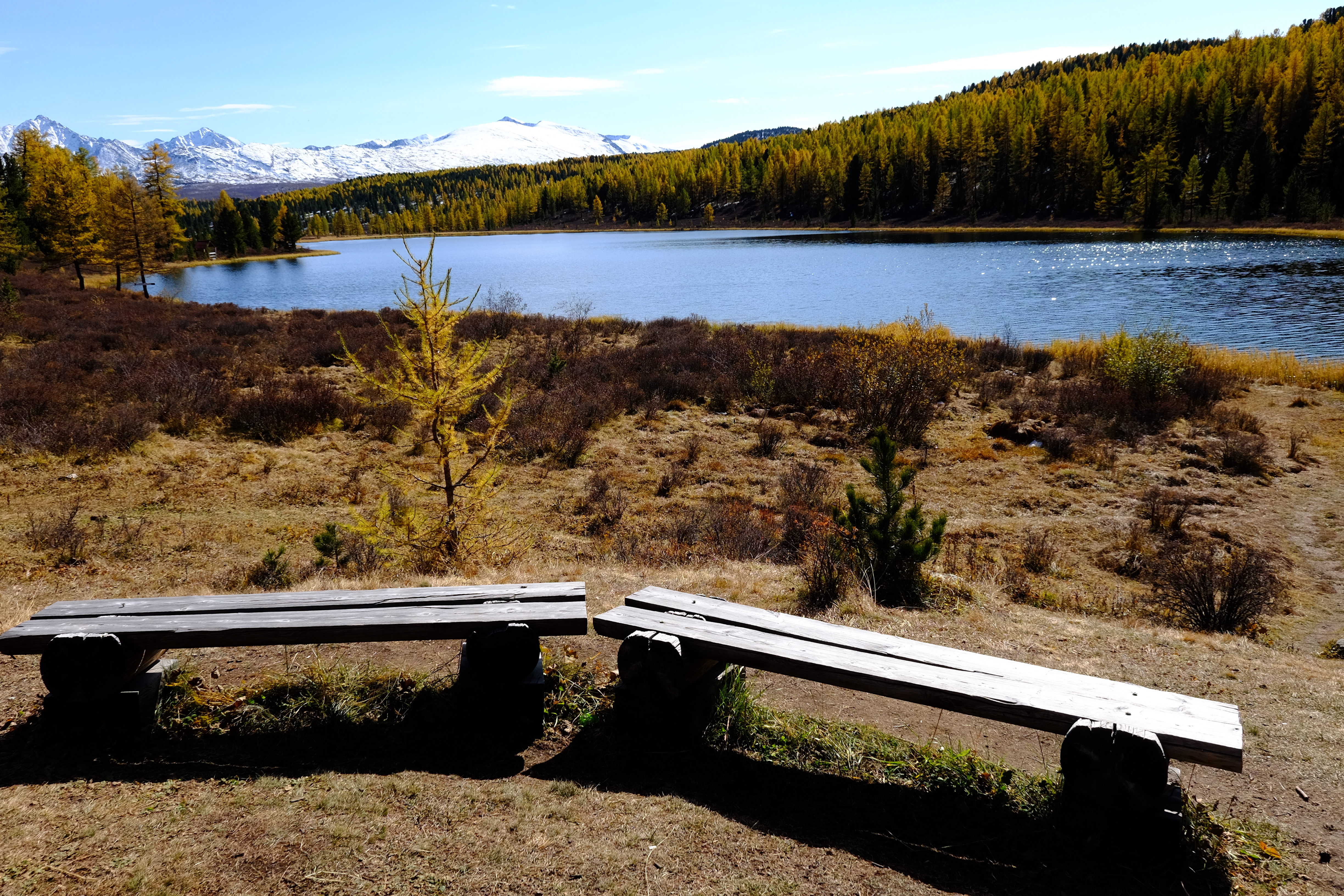 Сокровища Чулышмана. Пять дней на Алтае! (8/35)
