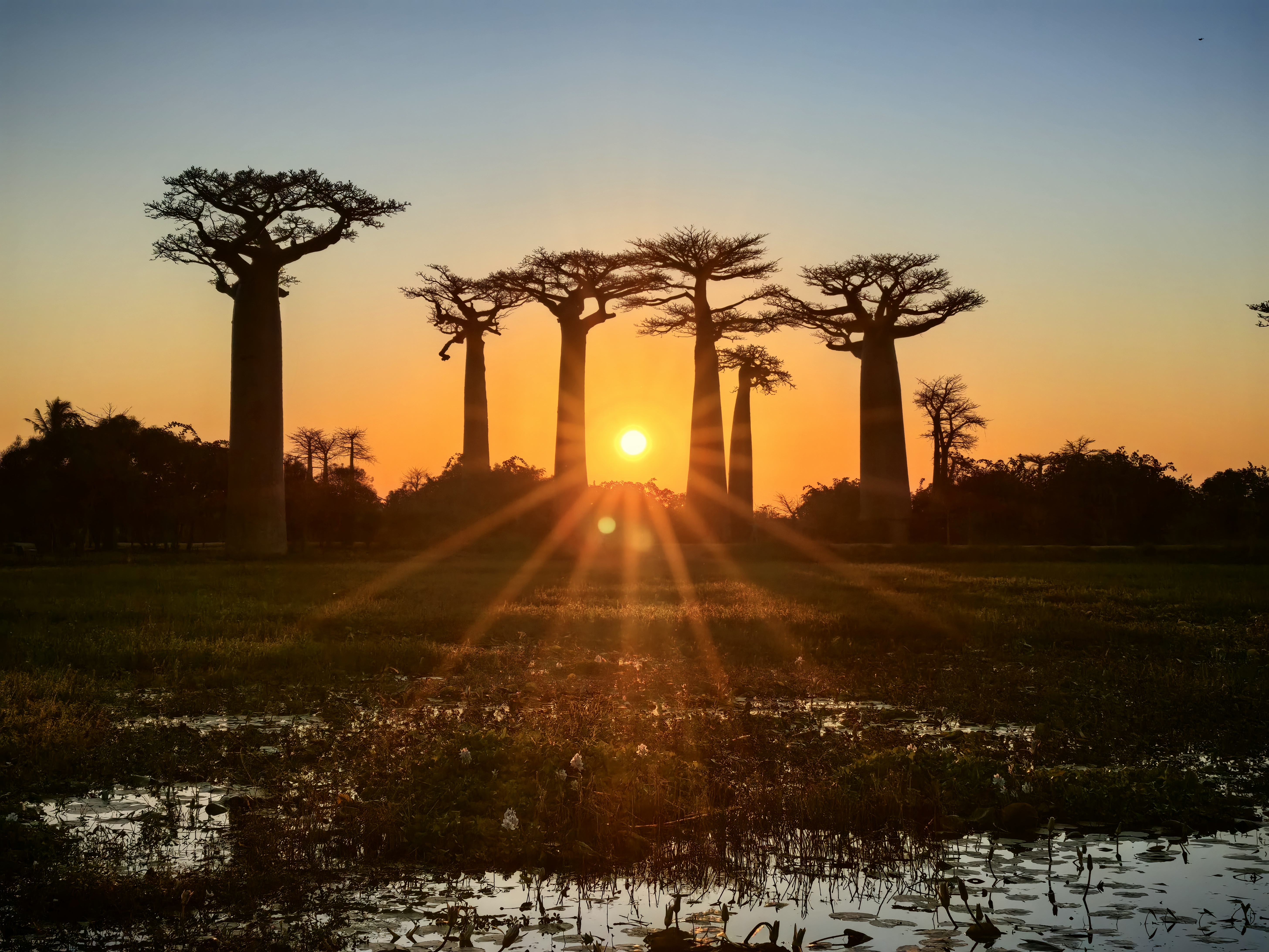 Мадагаскар. Люксовый тур на частном самолёте (5/27)