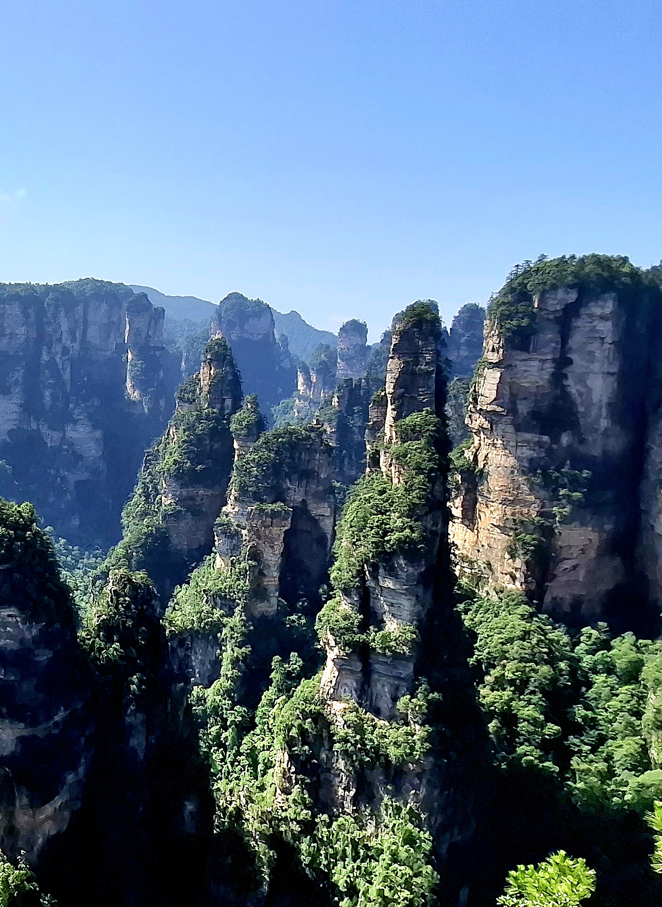 Долгожданная встреча с горами Аватара