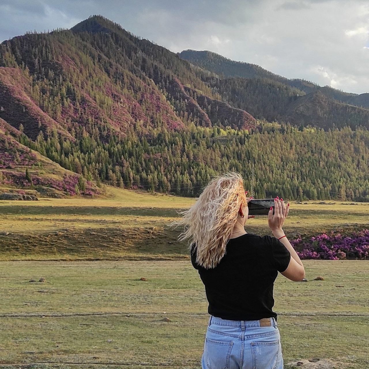Фототур Цветение маральника на Алтае