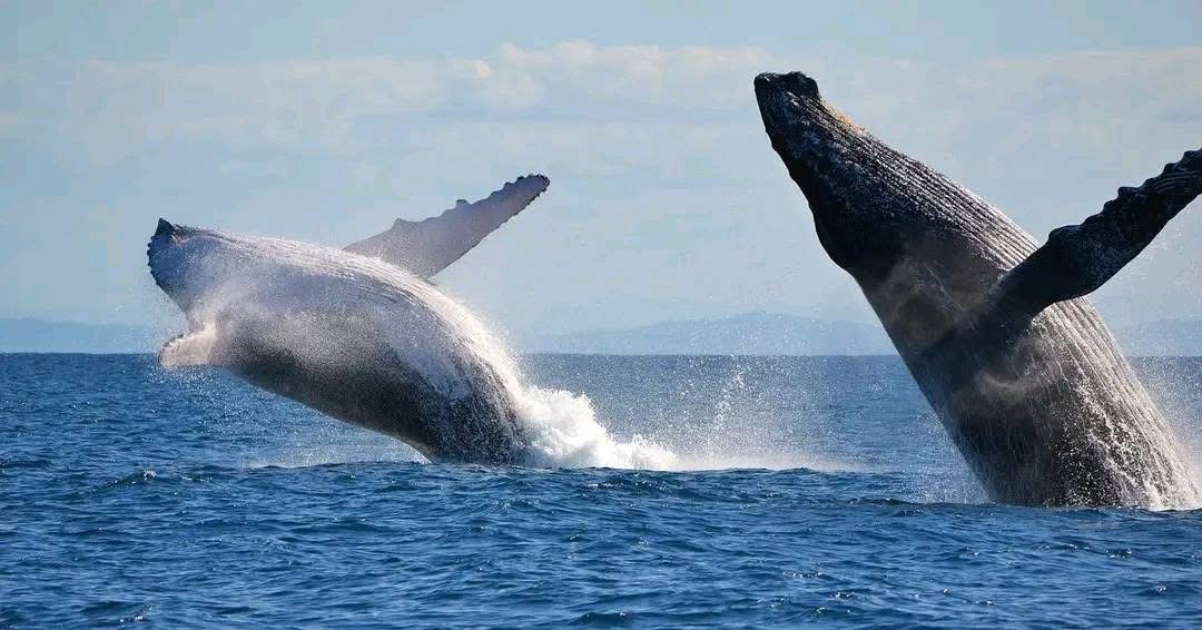 Мадагаскар. Люксовый тур на частном самолёте (18/27)