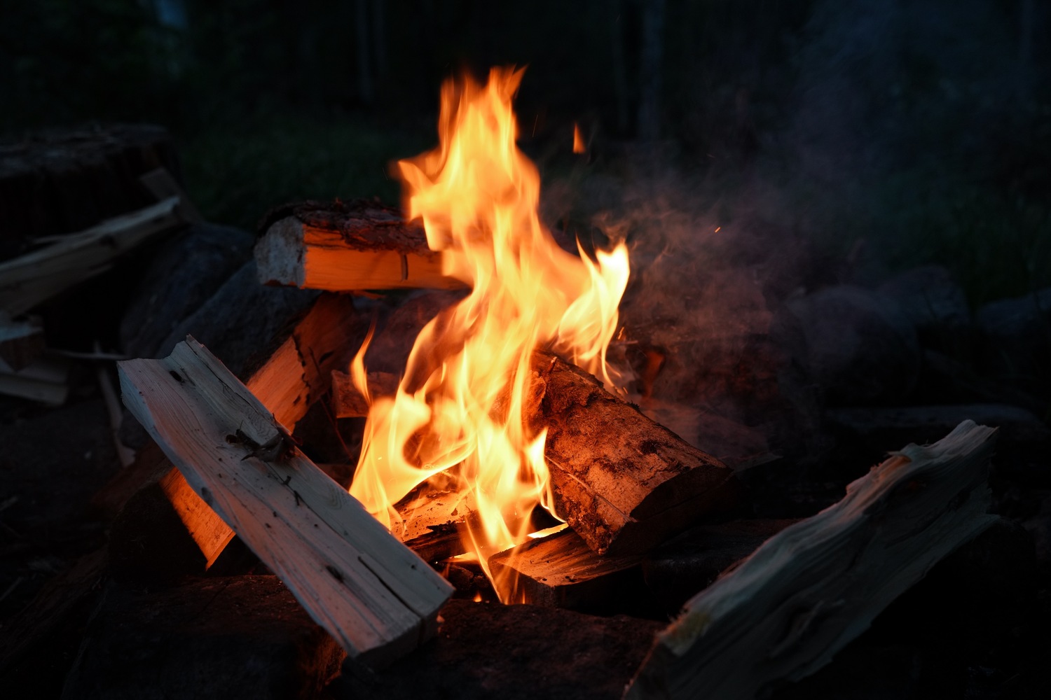 Трофейная Рыбалка На Горной Реке (22/25)