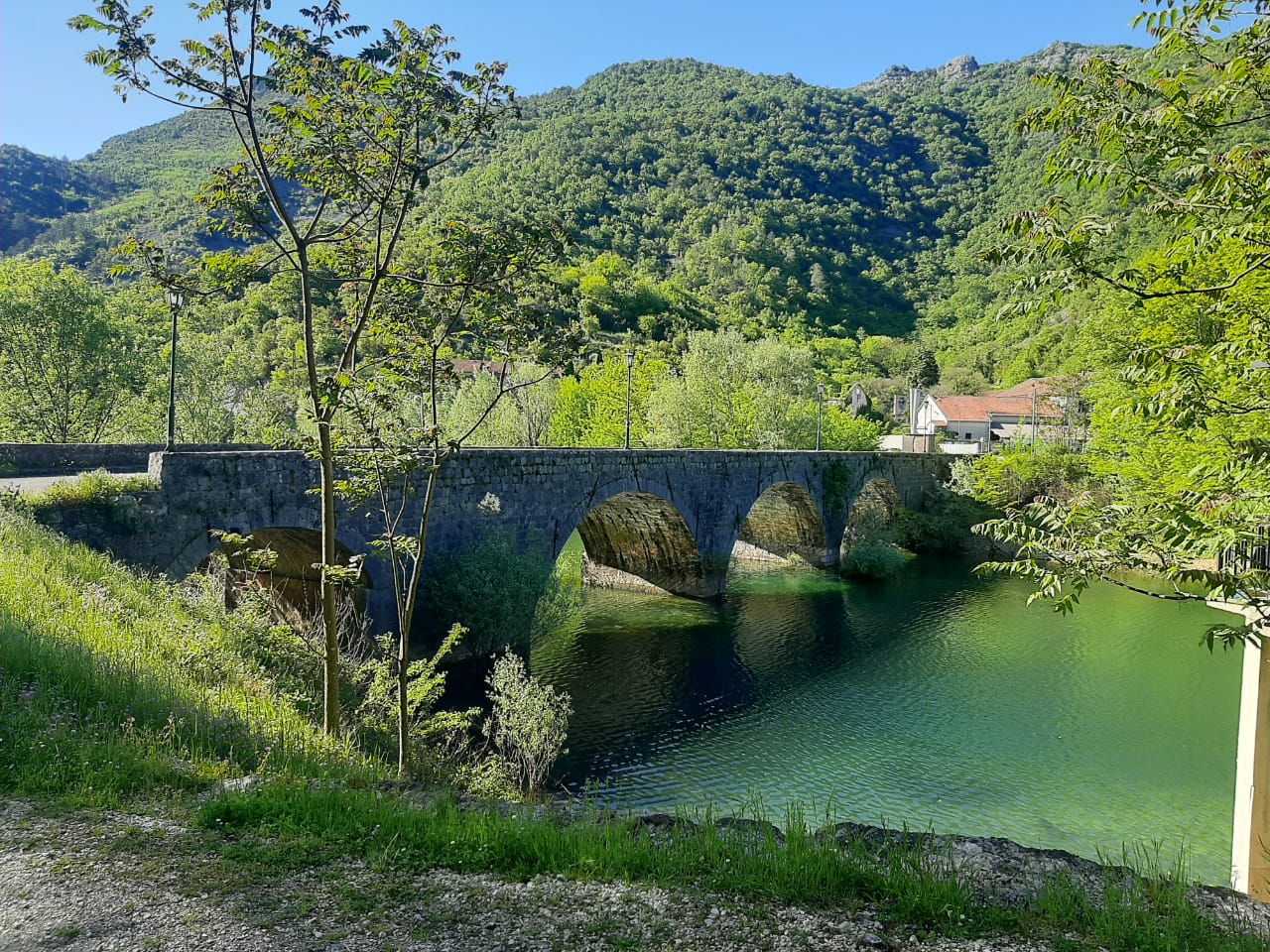 Сердце Черногории: озерная симфония (9/22)