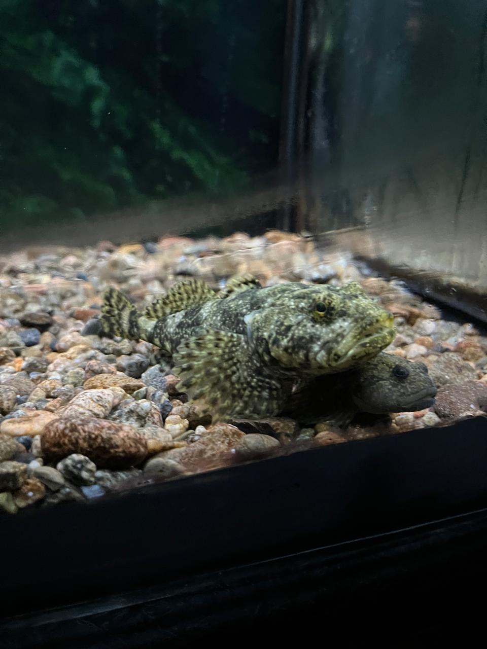 Байкальский вояж: красота и адреналин (3/14)