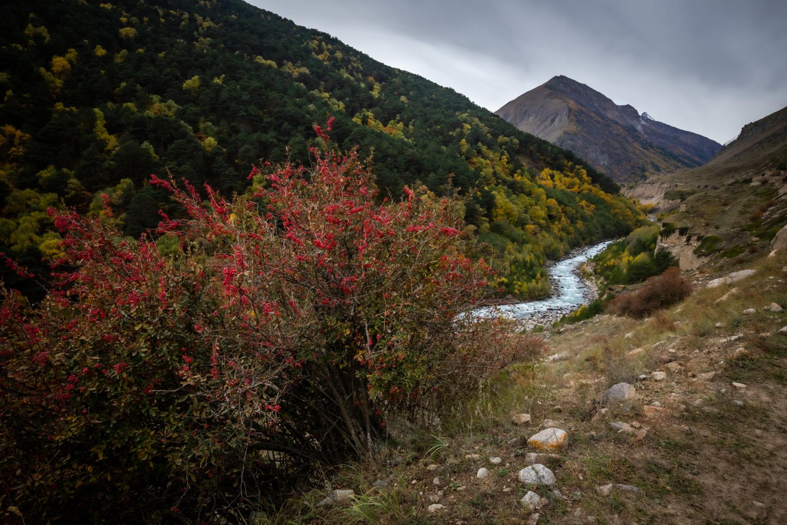 В объятиях Кавказских гор (11/25)
