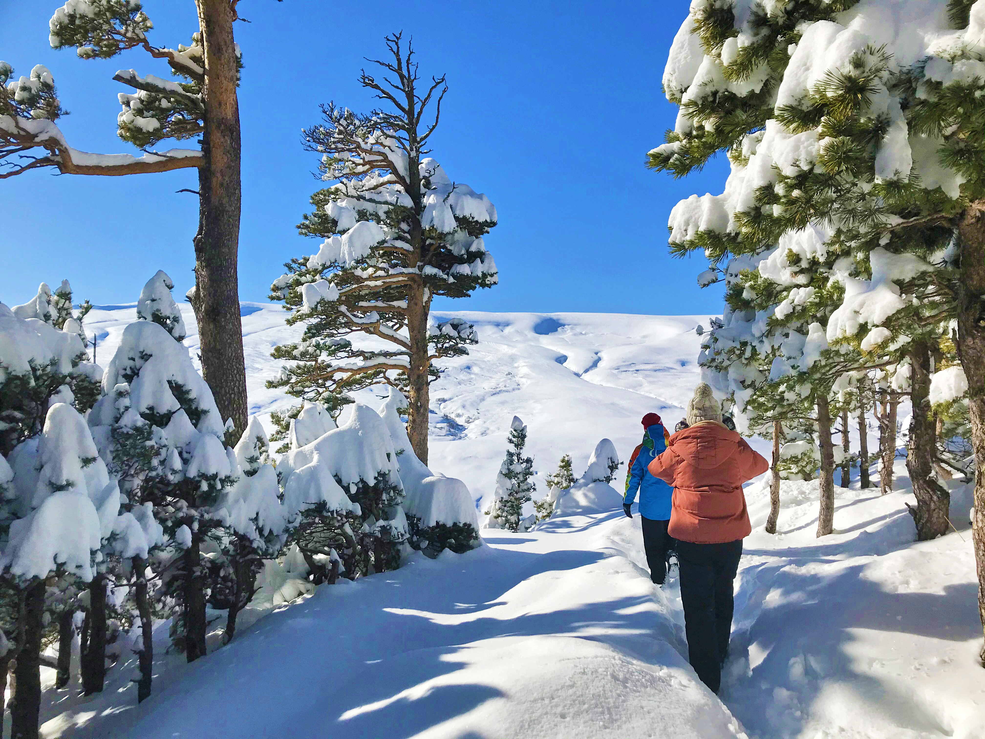 Активная зима (1/39)