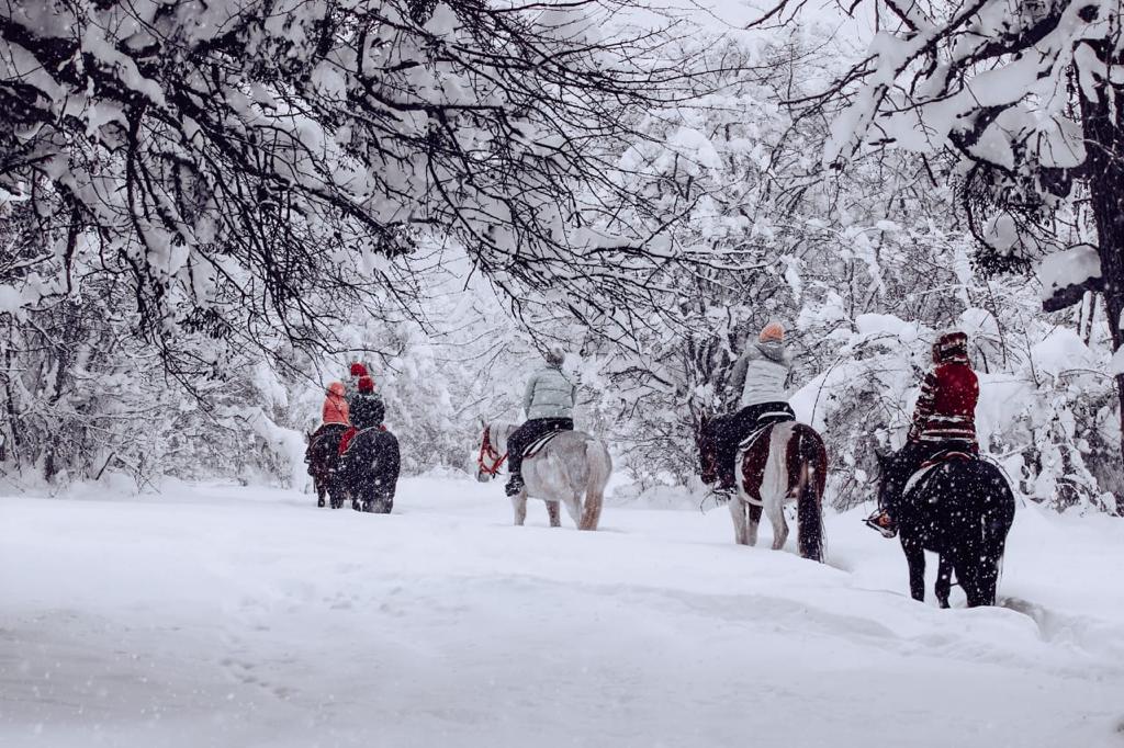 Активная зима (7/39)