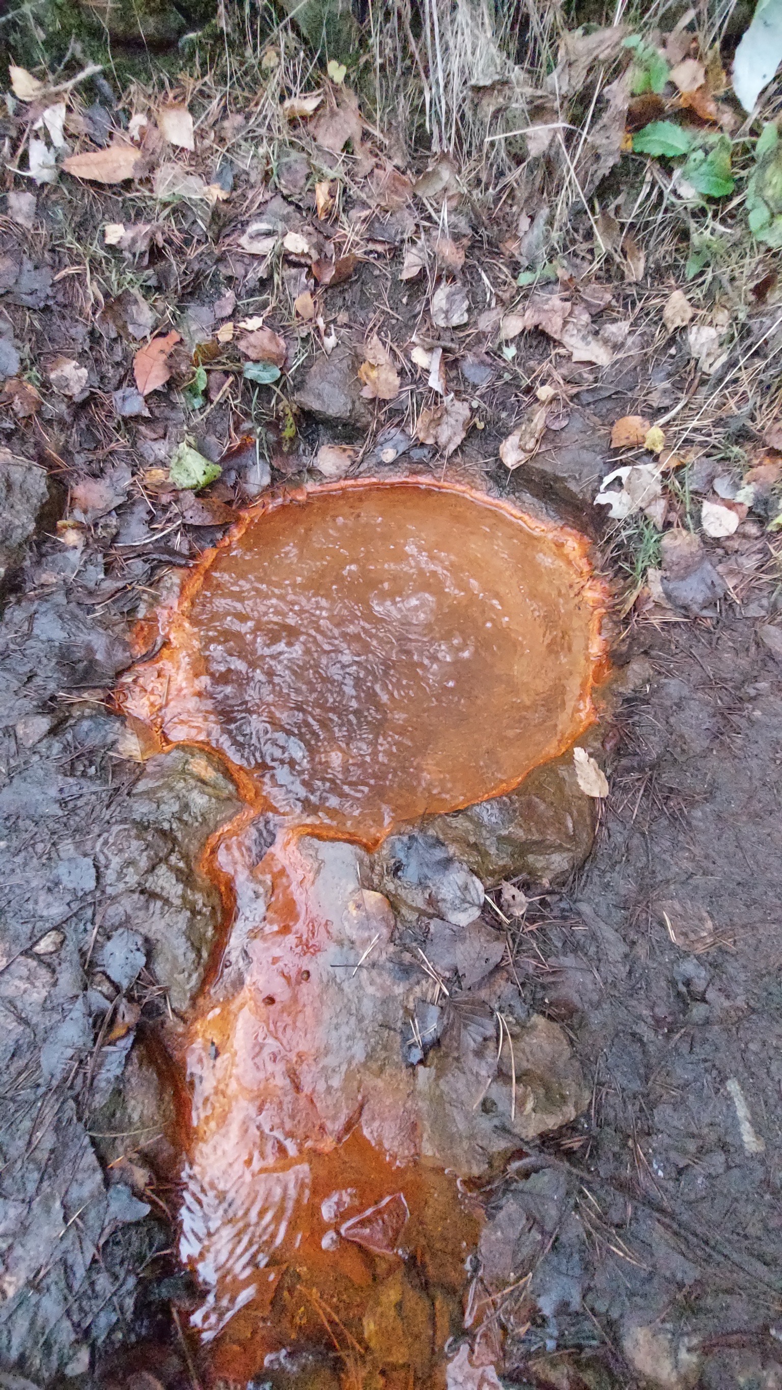 Экскурсия в зимний Кавказ: живописные виды вместо Бермамыта (индивидуальный формат) (17/18)