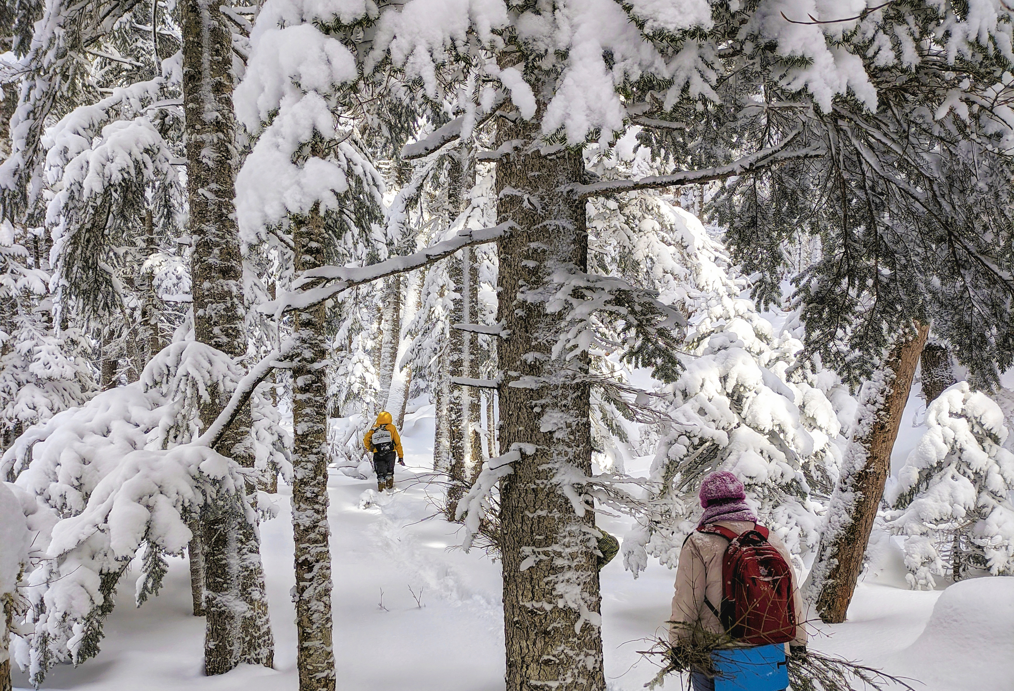 Активная зима (6/39)