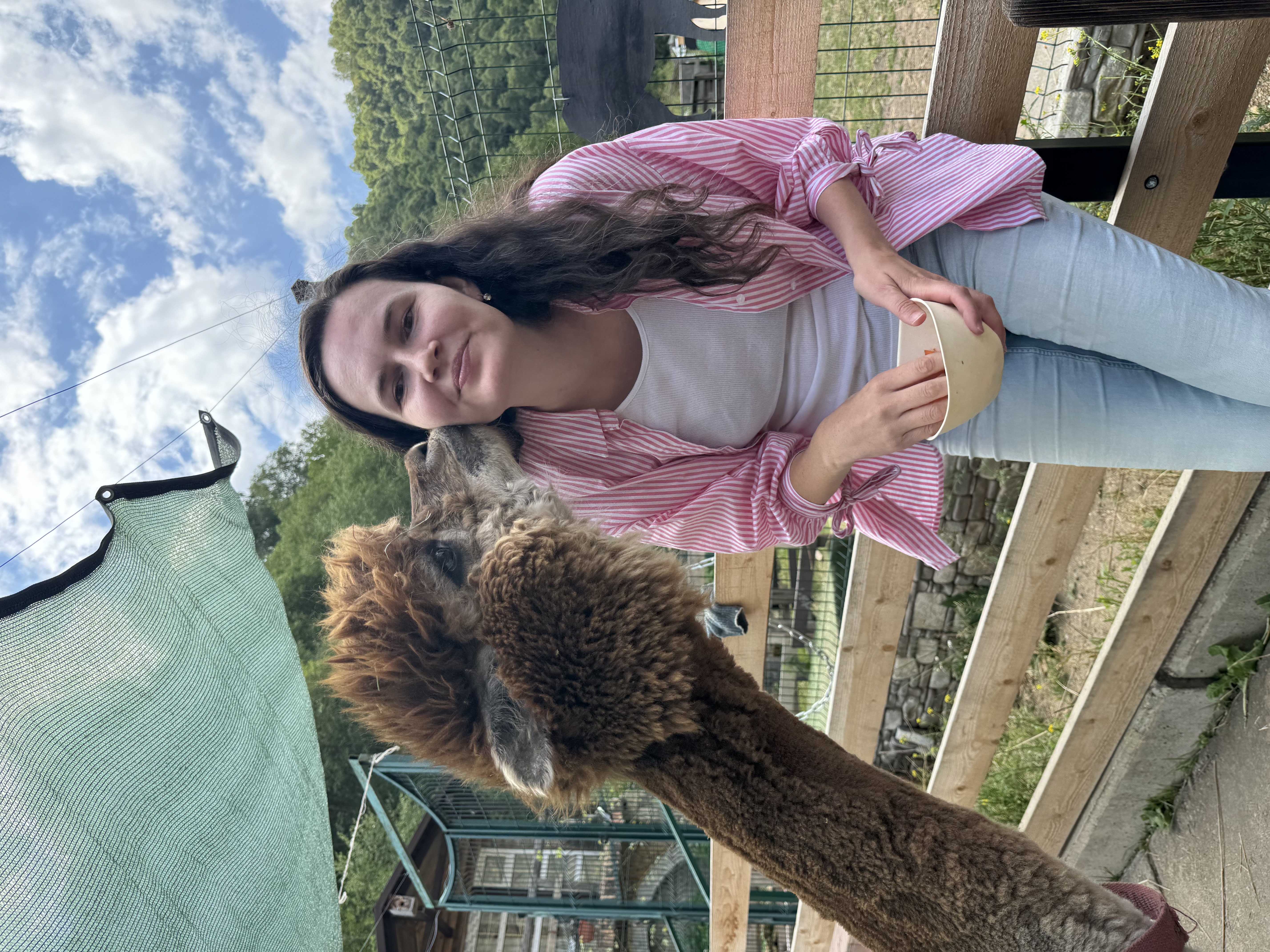 Экскурсия в зимний Кавказ: живописные виды вместо Бермамыта (индивидуальный формат) (10/18)