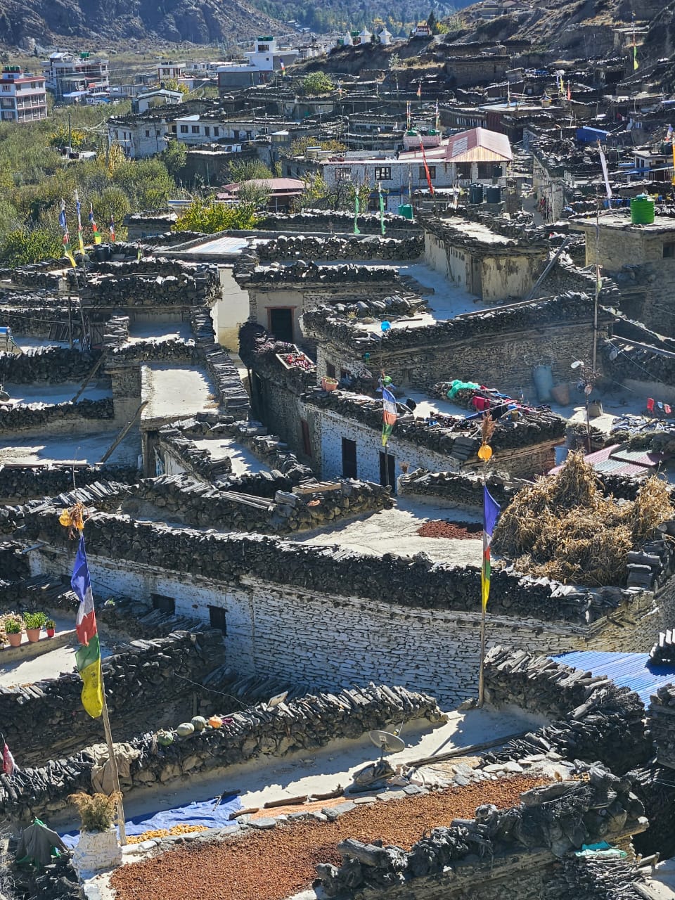 Майндфулнесс-поход: кольцо Аннапурны + озеро Тиличо (11/21)