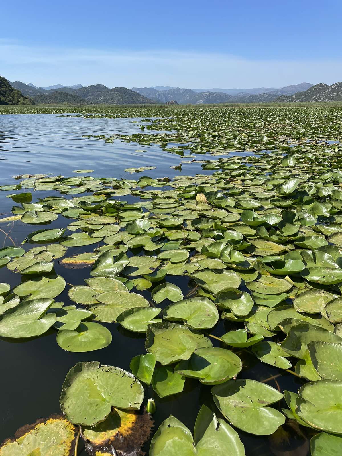 Сердце Черногории: озерная симфония (14/22)