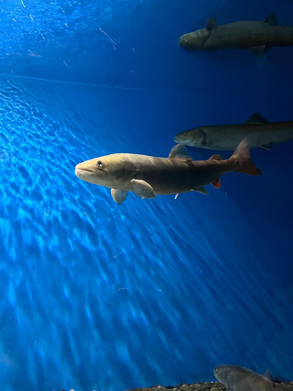 Байкальский вояж: красота и адреналин (2/14)