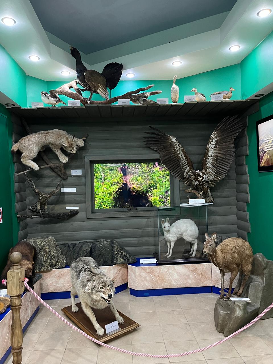 Байкальский вояж: красота и адреналин (4/14)