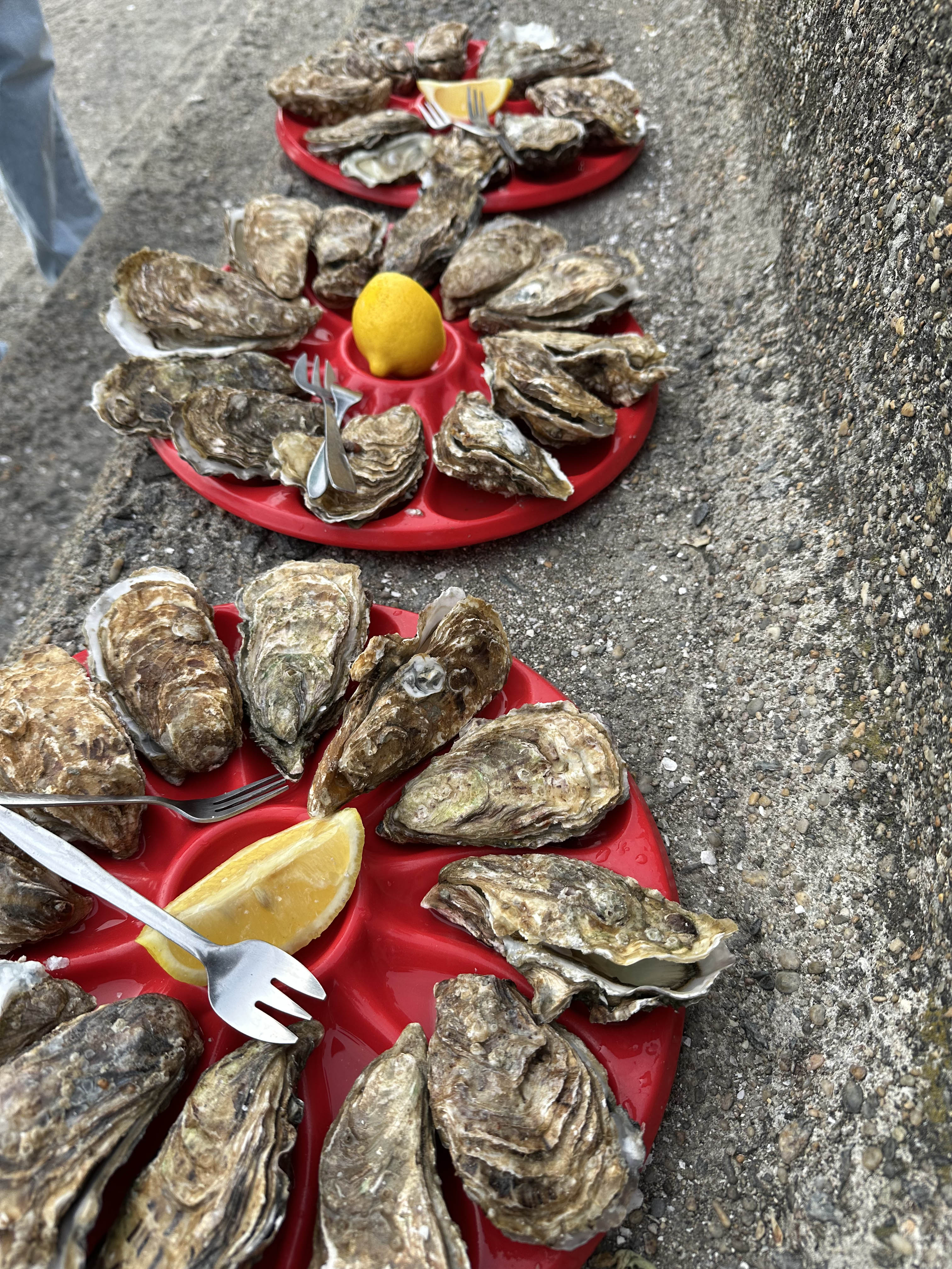 Авторский тур в Бретань (Изумрудный берег Франции) (7/32)