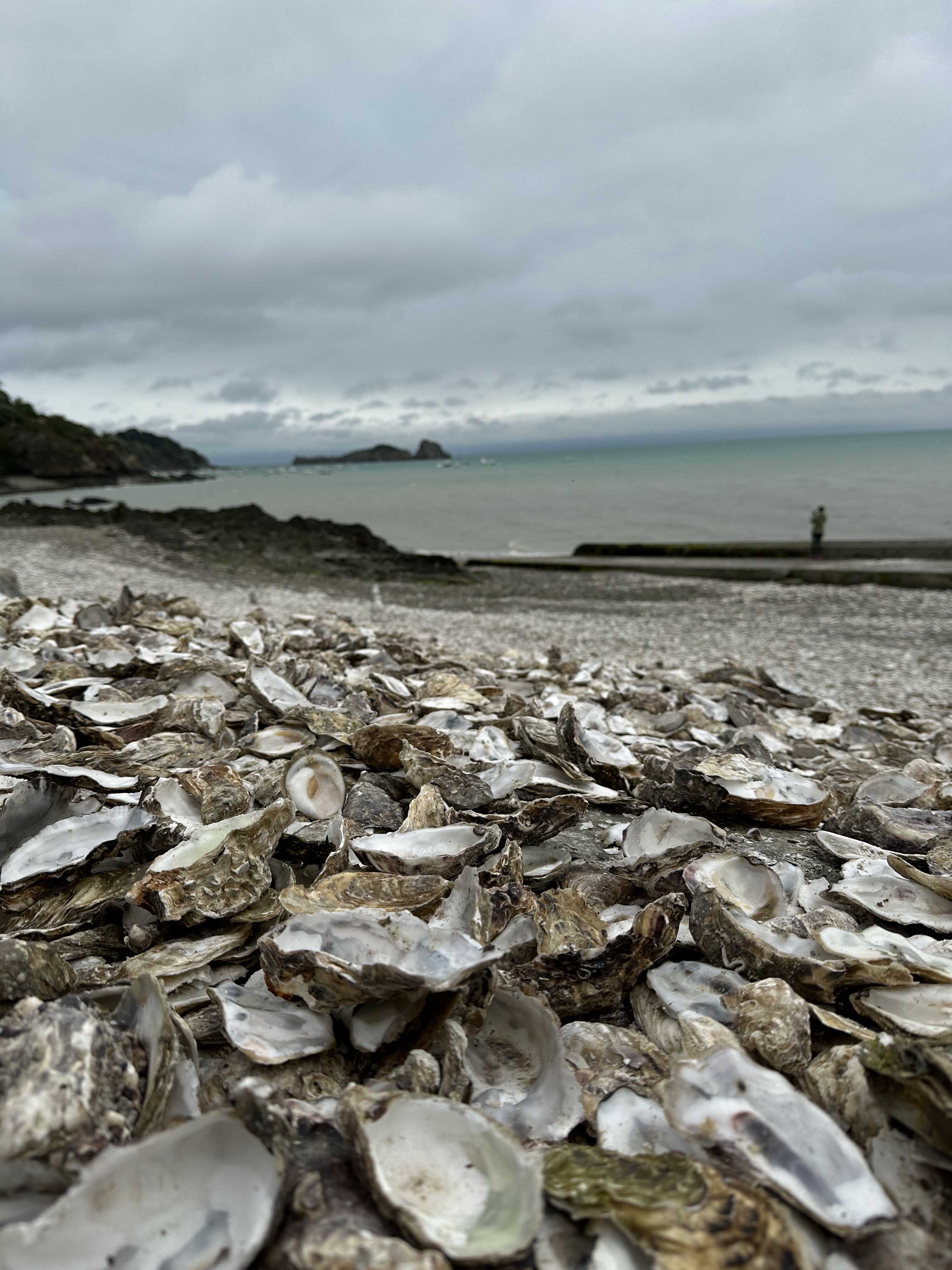 Авторский тур в Бретань (Изумрудный берег Франции) (9/32)