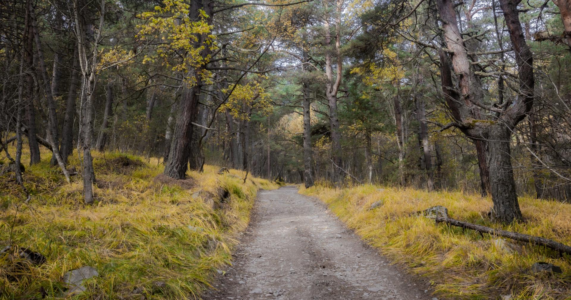 В объятиях Кавказских гор (10/25)
