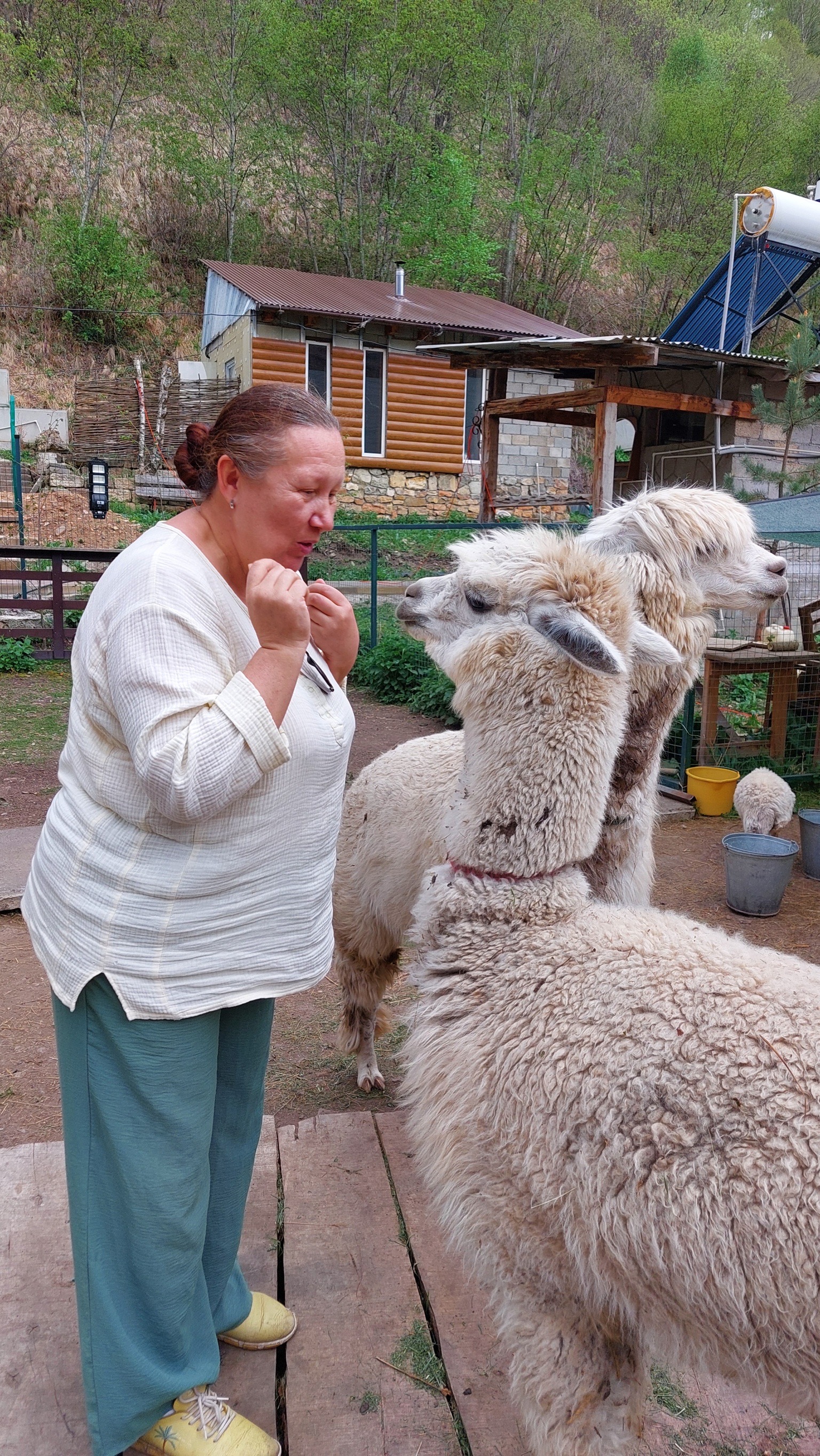 Экскурсия в зимний Кавказ: живописные виды вместо Бермамыта (индивидуальный формат) (13/18)