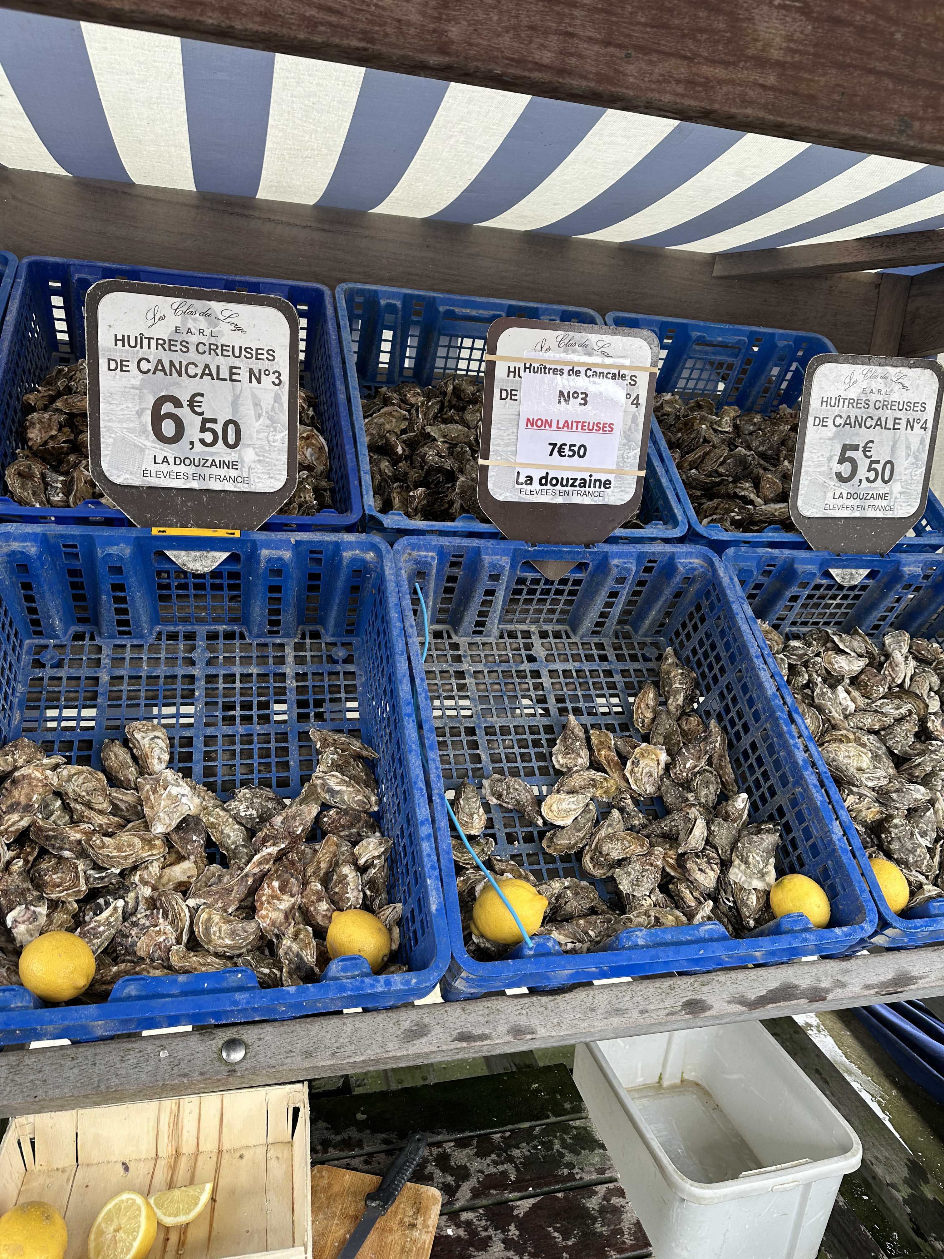 Авторский тур в Бретань (Изумрудный берег Франции) (8/32)