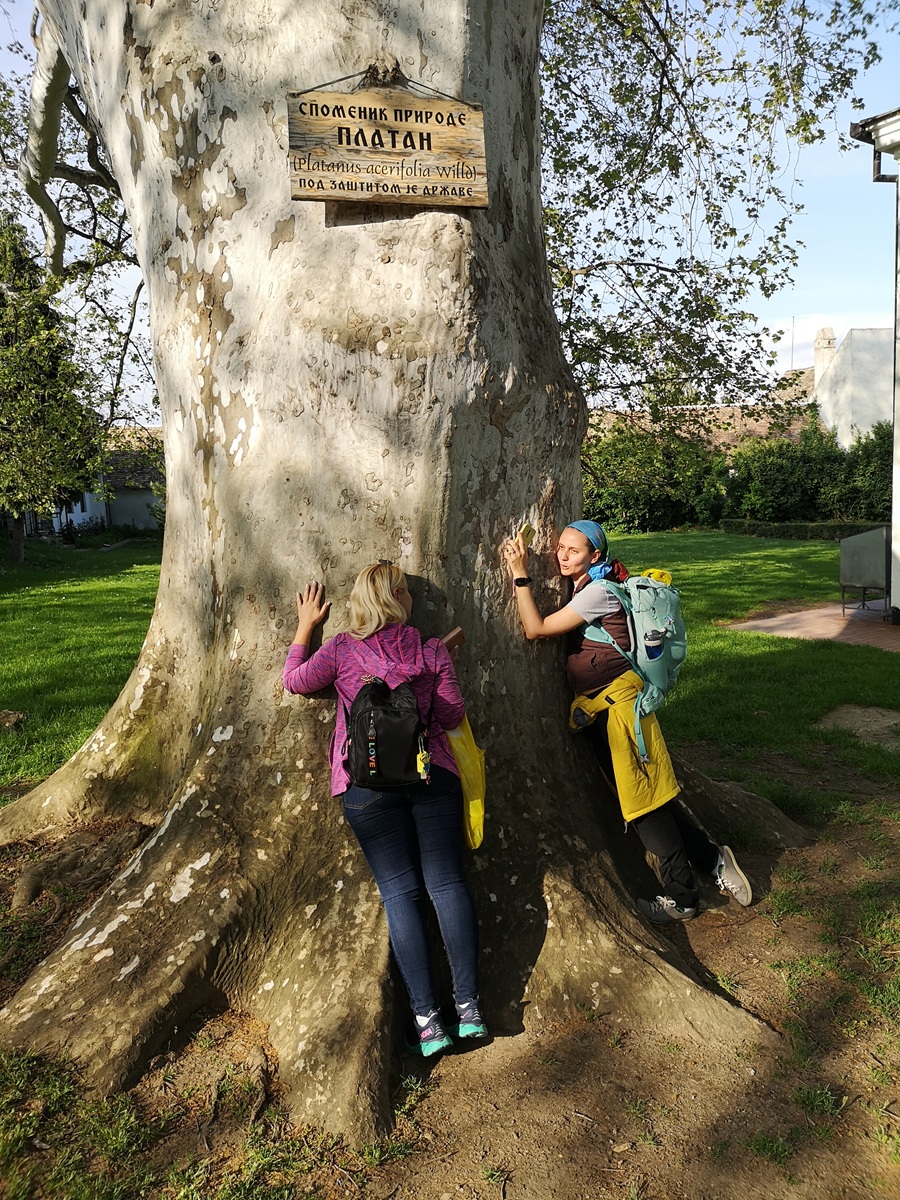 Активный тур по Сербии: треккинги, экскурсии и сапы (27/81)