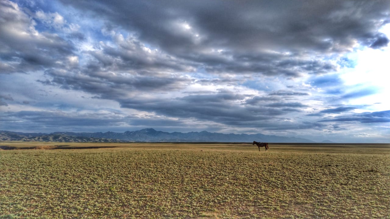 Тур от Красных гор до Чарынского каньона с ночевкой на горячих источниках (19/25)