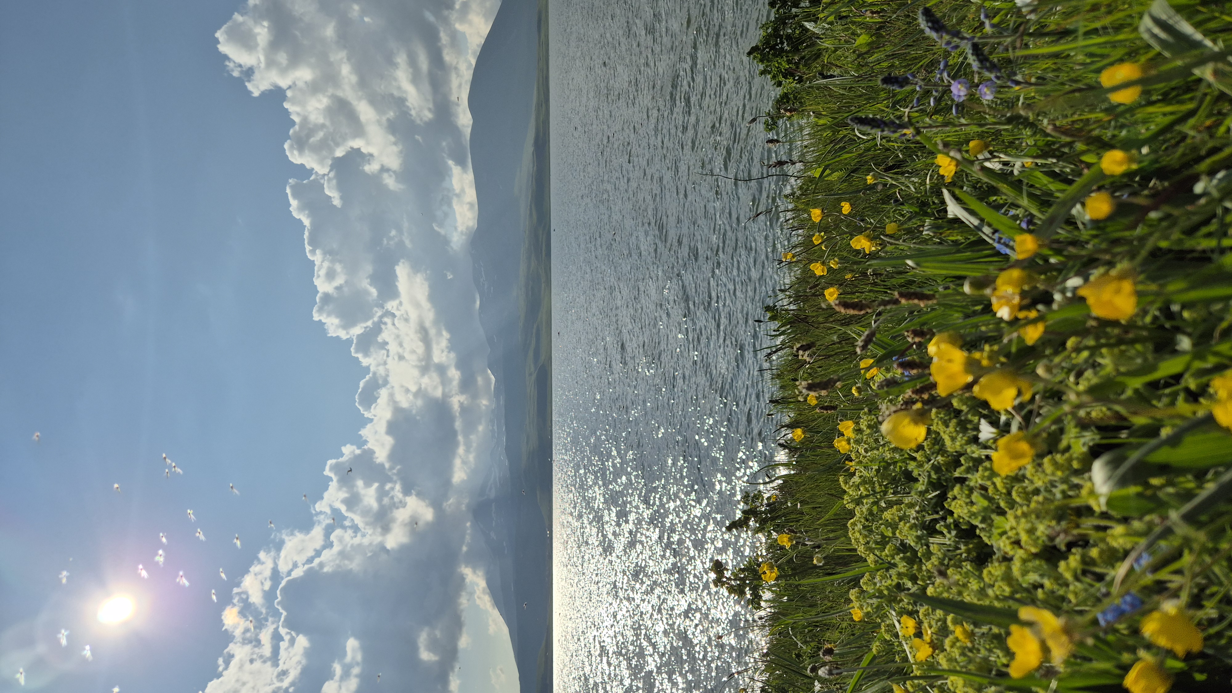 Стеклянный мост, альпийские луга и пещеры Вардзии