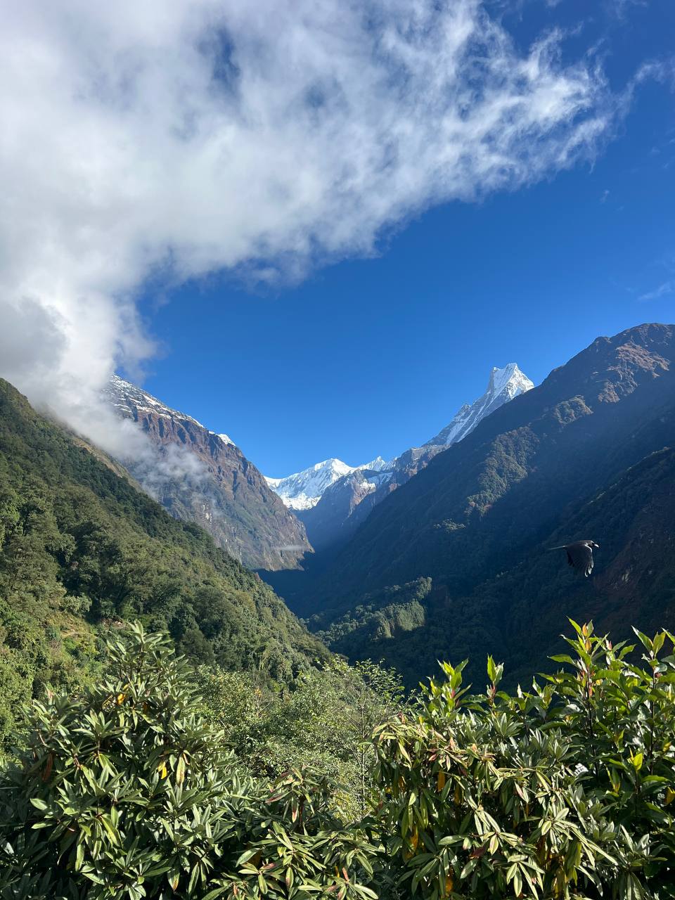 Возвращение в цивилизацию. Премиум Покхара