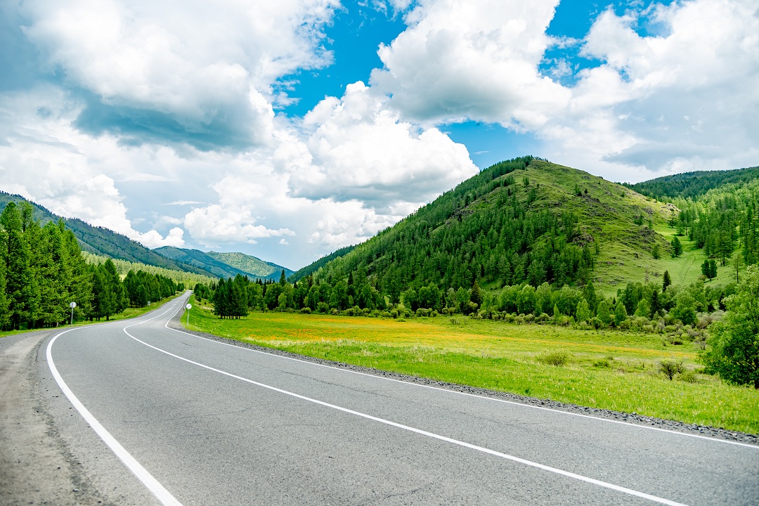 Свидание с Алтаем (4/19)