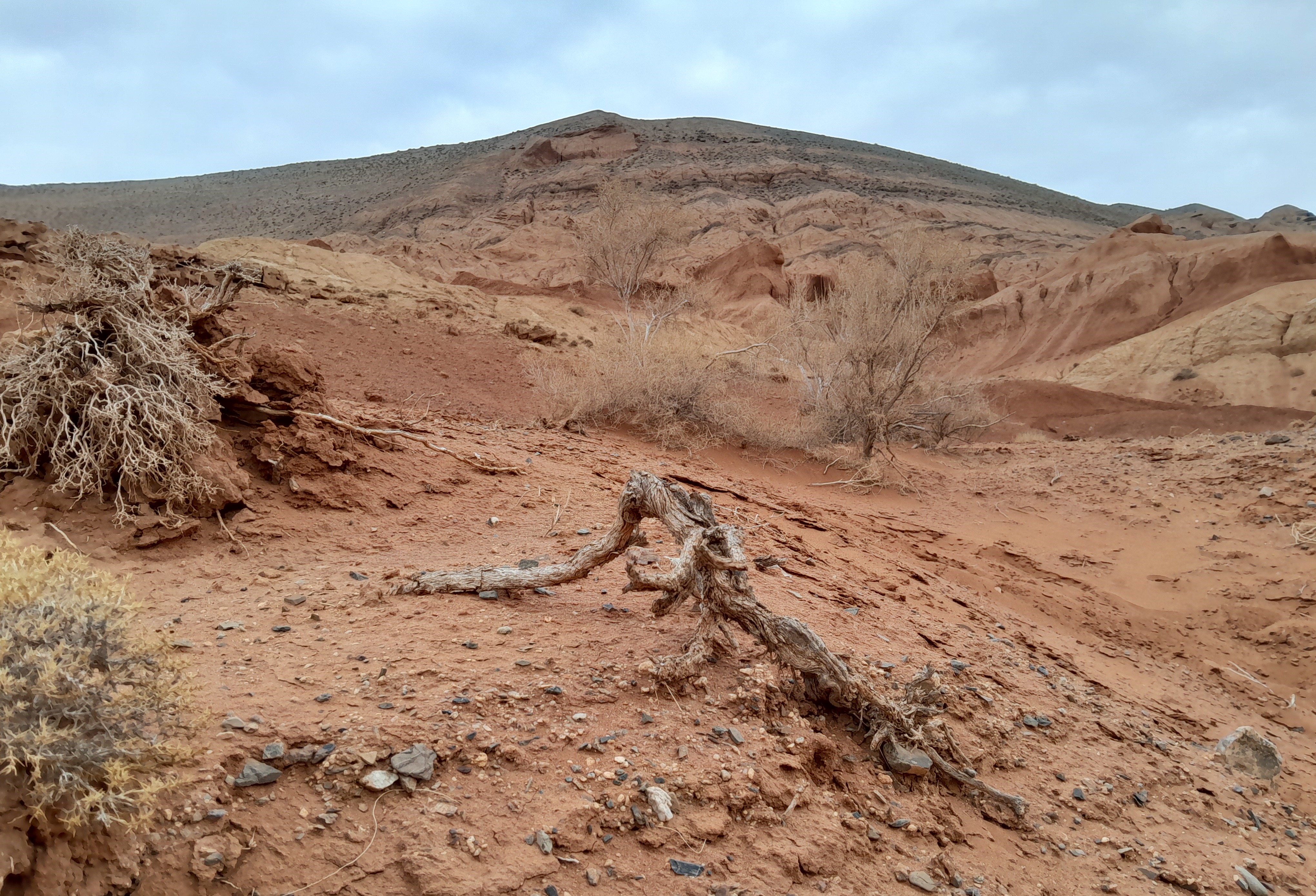 Тур: Красные горы Богутты — затерянный мир времени и красок (8/41)