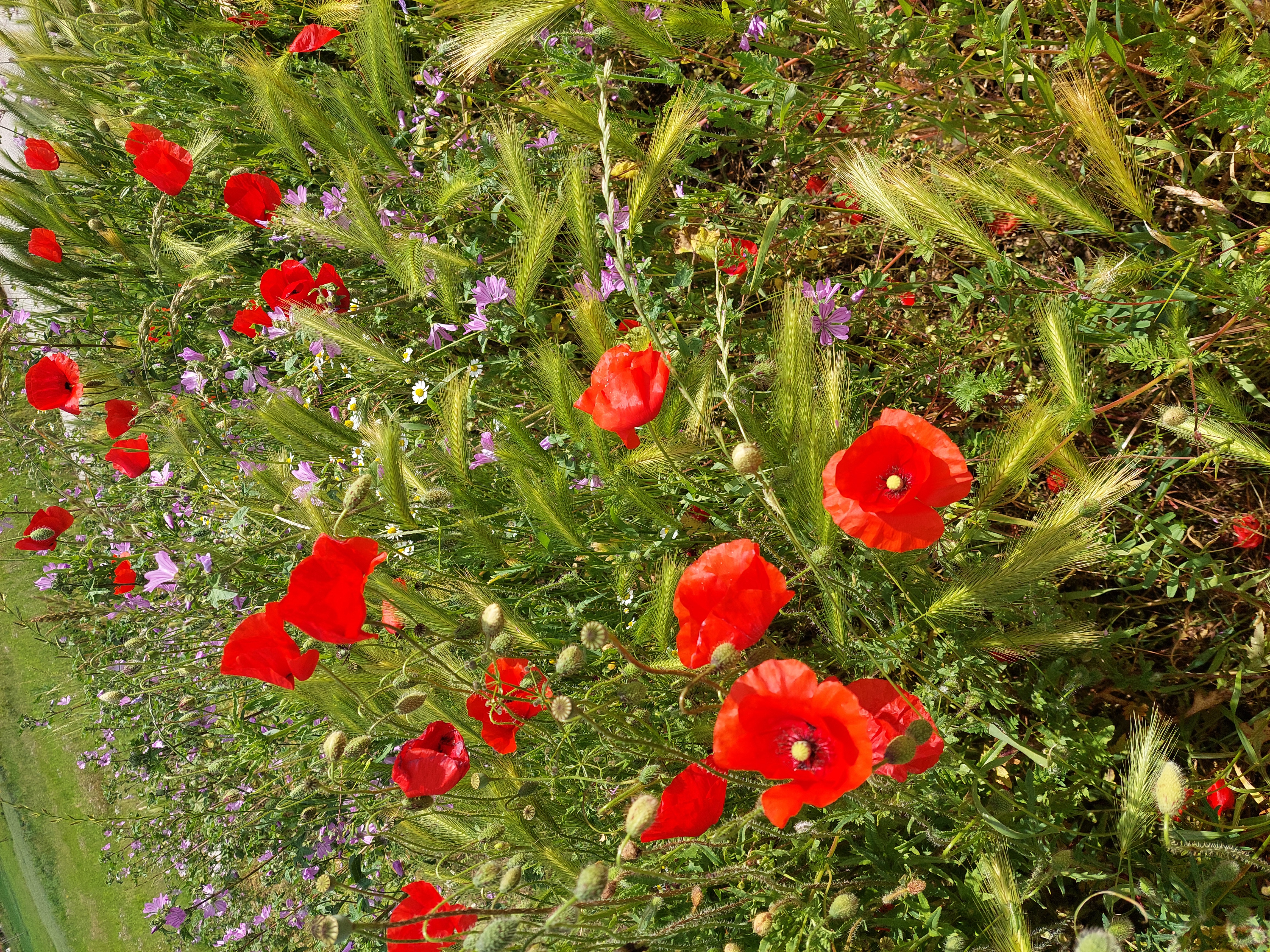 Сердце Черногории: озерная симфония (21/22)