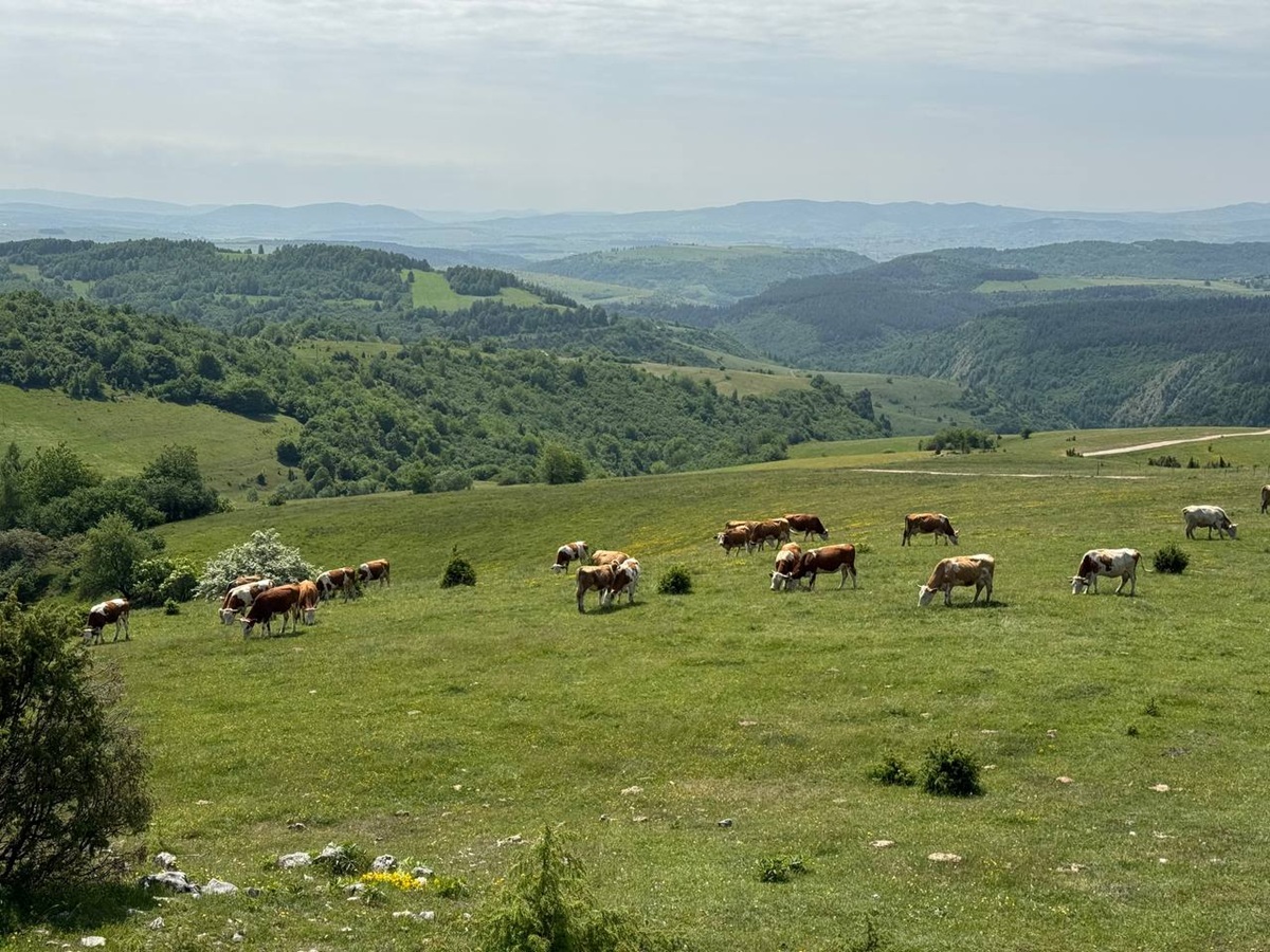 Активный тур по Сербии: треккинги, экскурсии и сапы (34/81)
