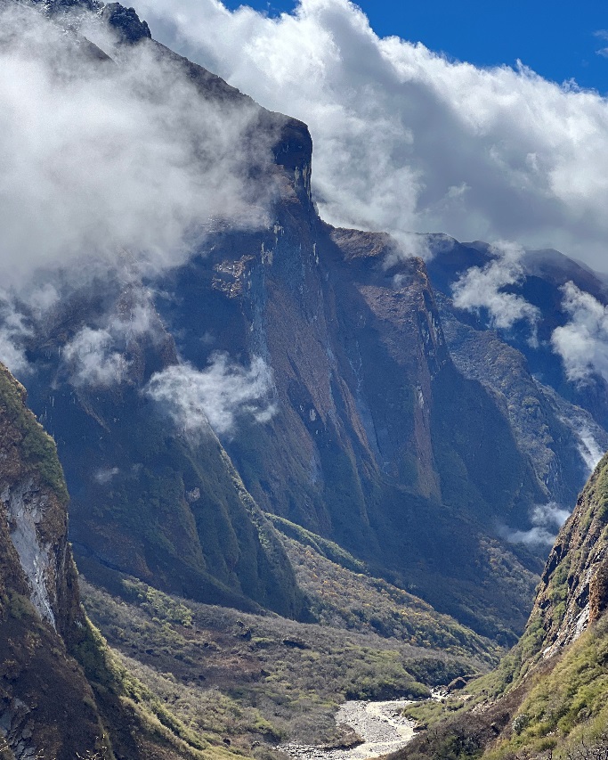 Тропа силы. Рододендроны и тишина